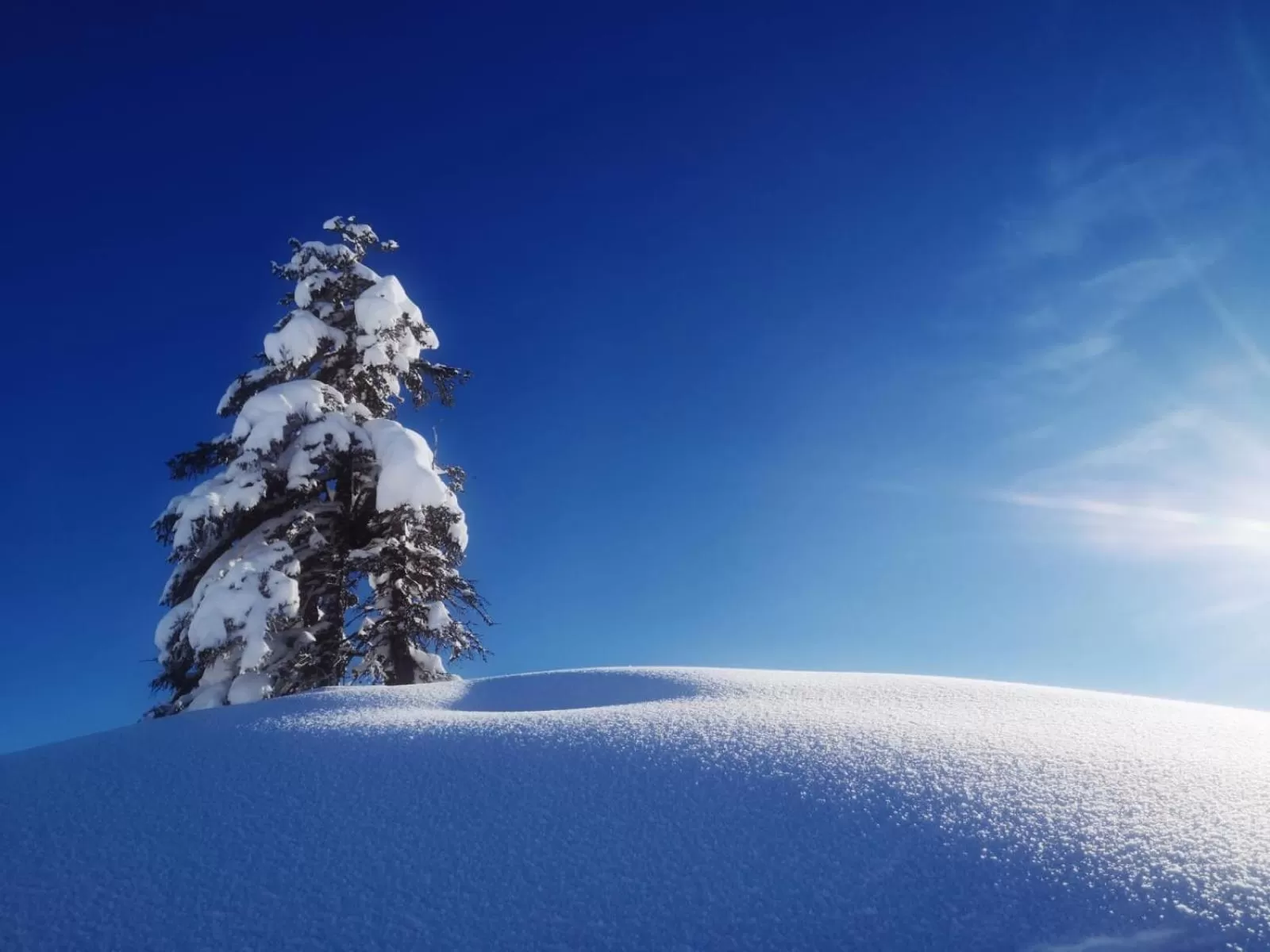 Natural landscape in Relax & Vitalhotel Adler