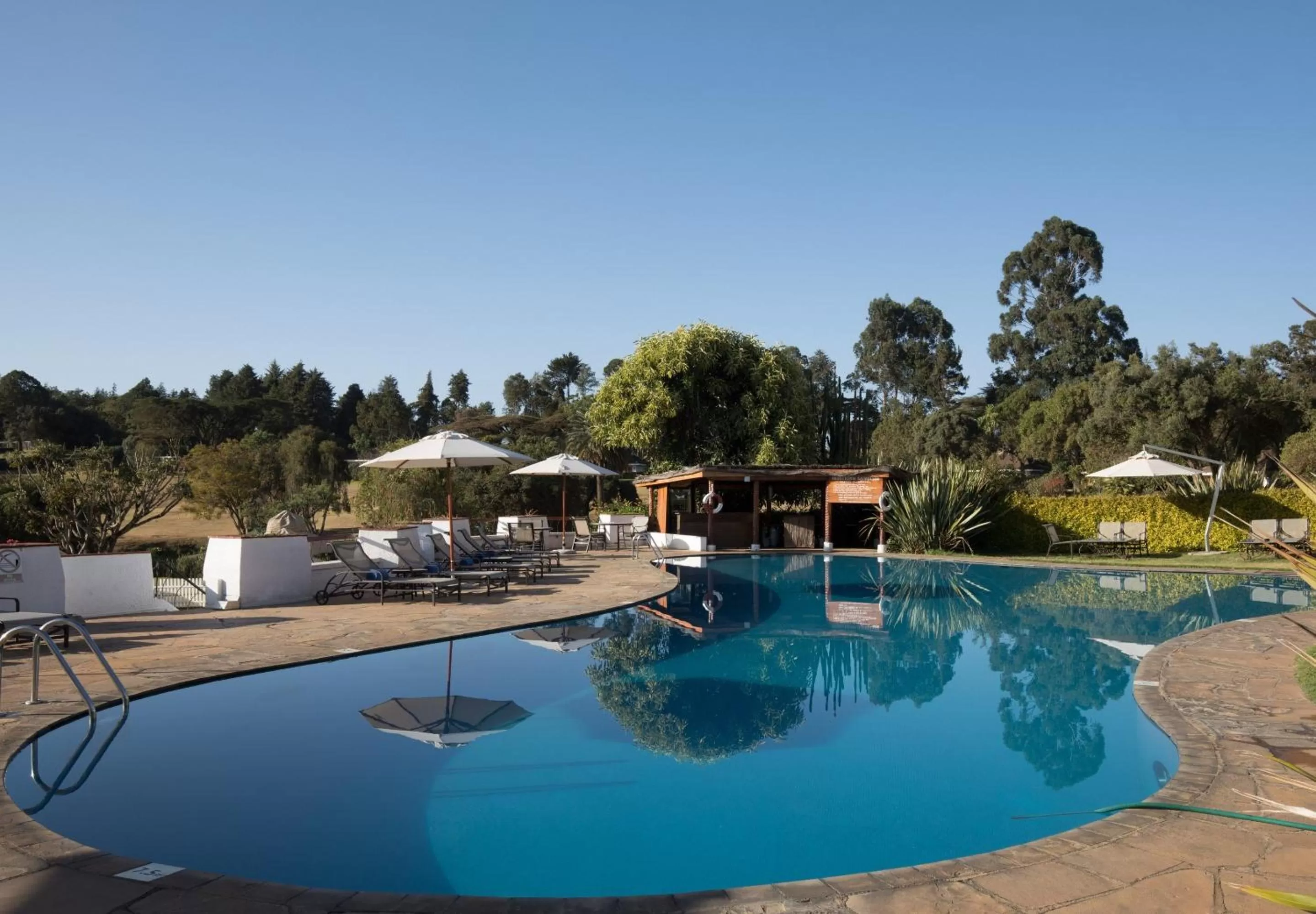 Pool view in Fairmont Mount Kenya Safari Club