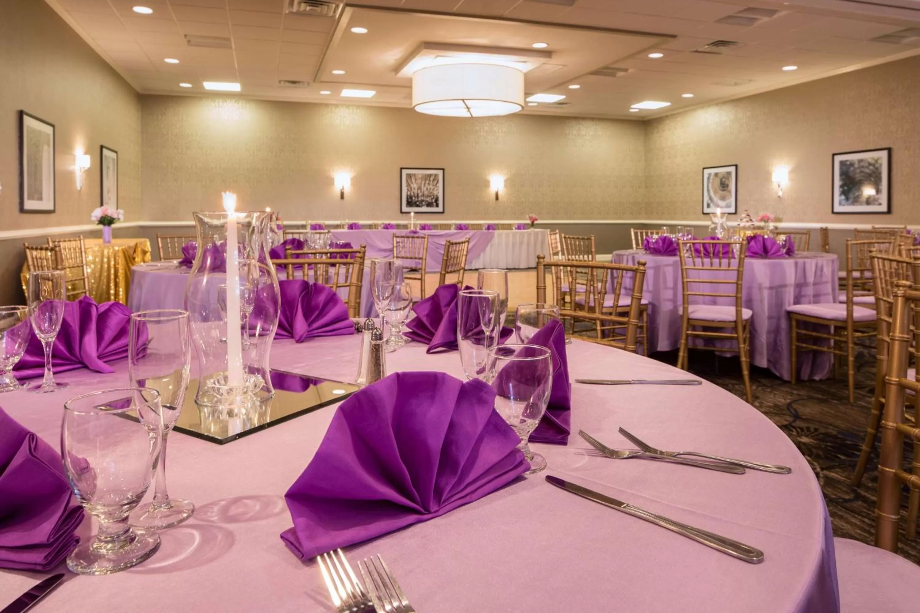 Meeting/conference room in Doubletree by Hilton Laurel, MD