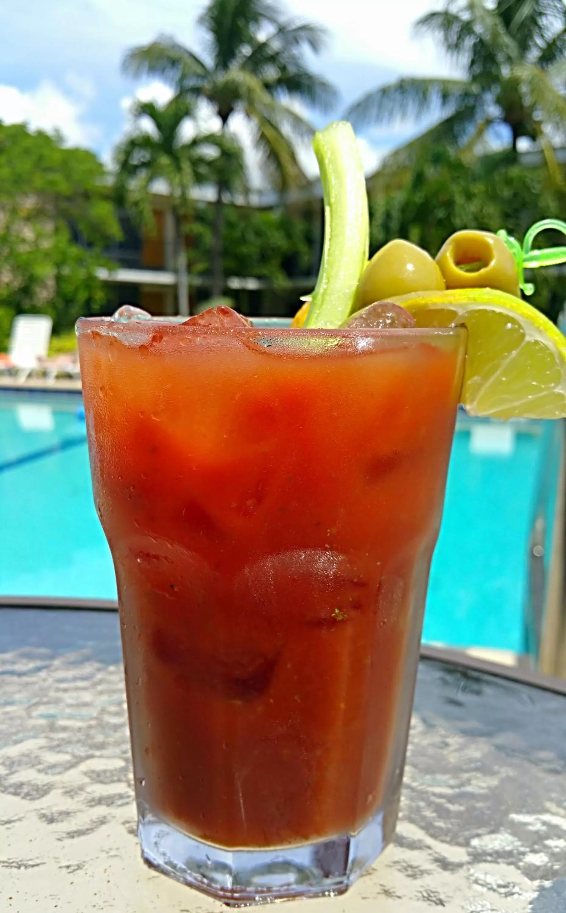 Lounge or bar in Dolphin Key Resort - Cape Coral