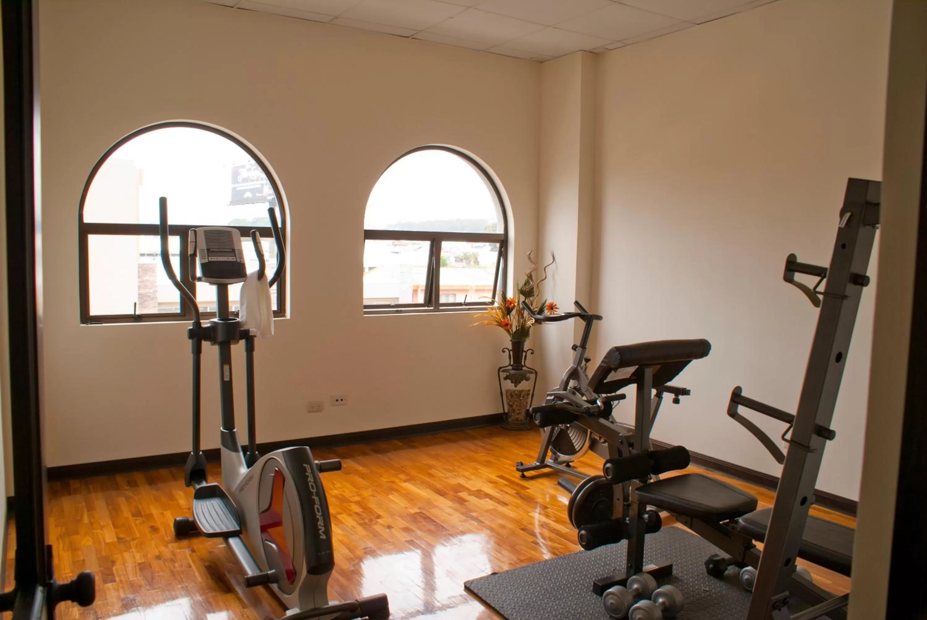 Fitness centre/facilities in Hotel Plaza Real Suites & Apartments San Jose