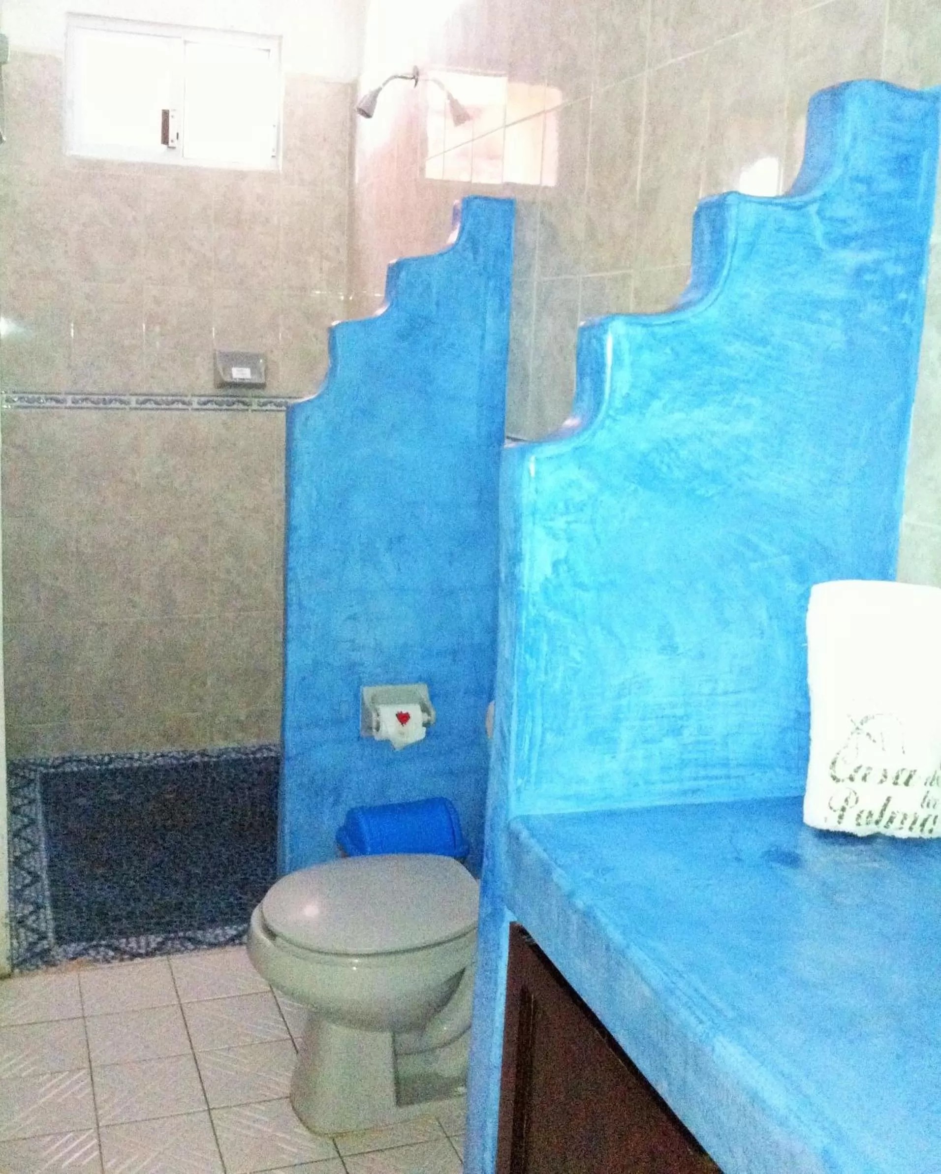 Toilet, Bathroom in Hotel Casa de la Palma Bed & Breakfast