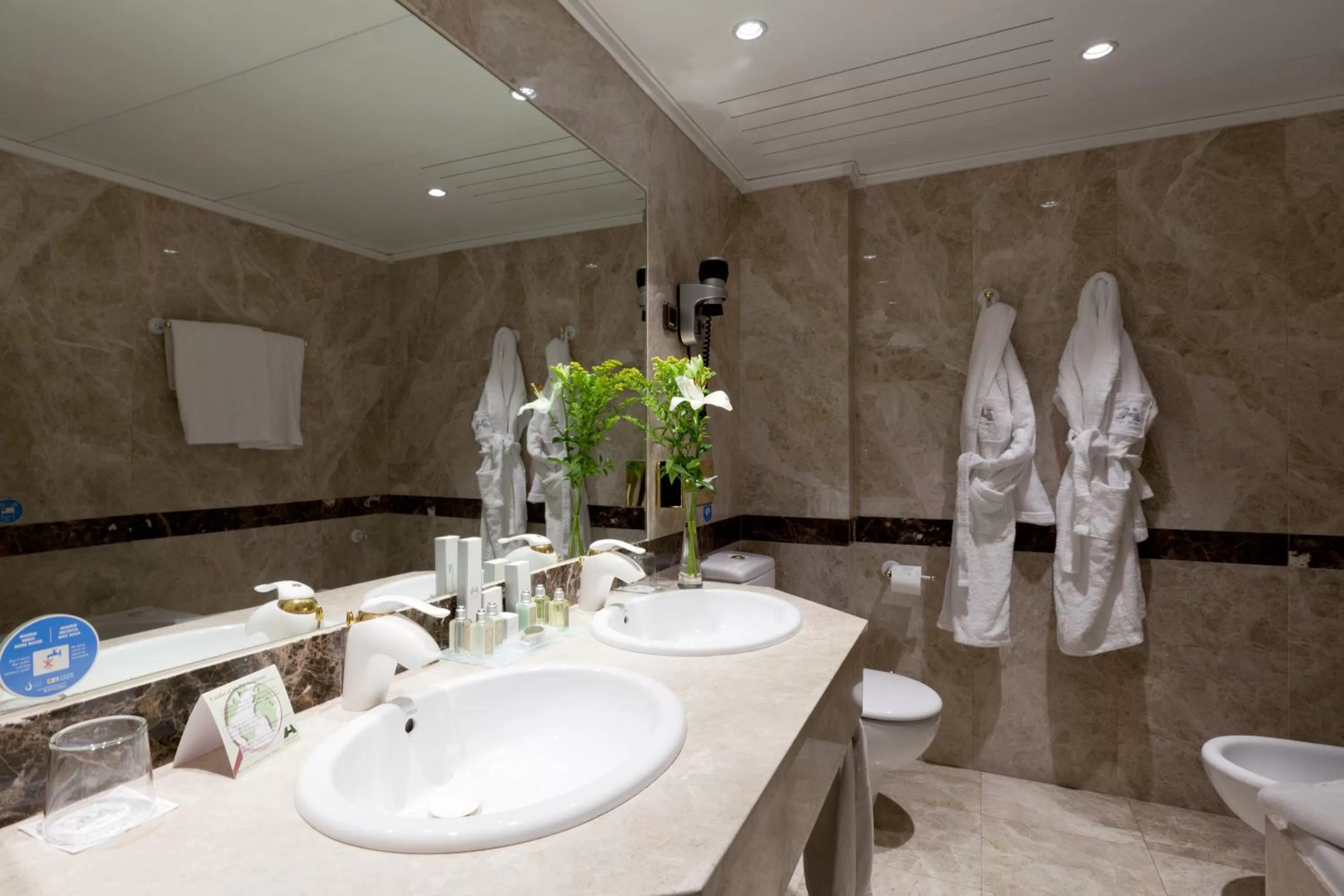 Bathroom in Hotel Praga