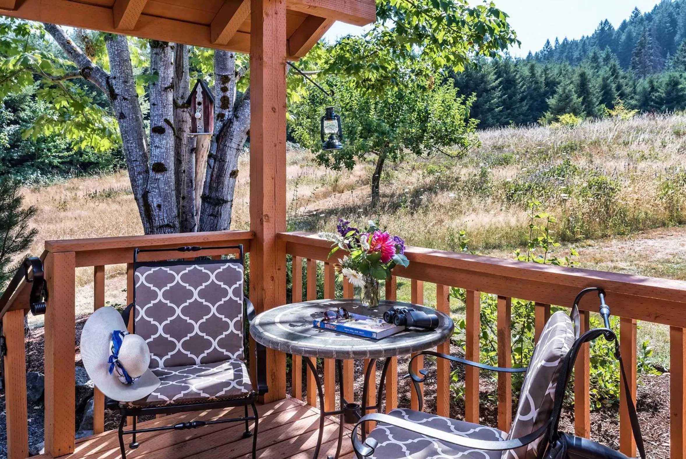 Carson Ridge Luxury Cabins