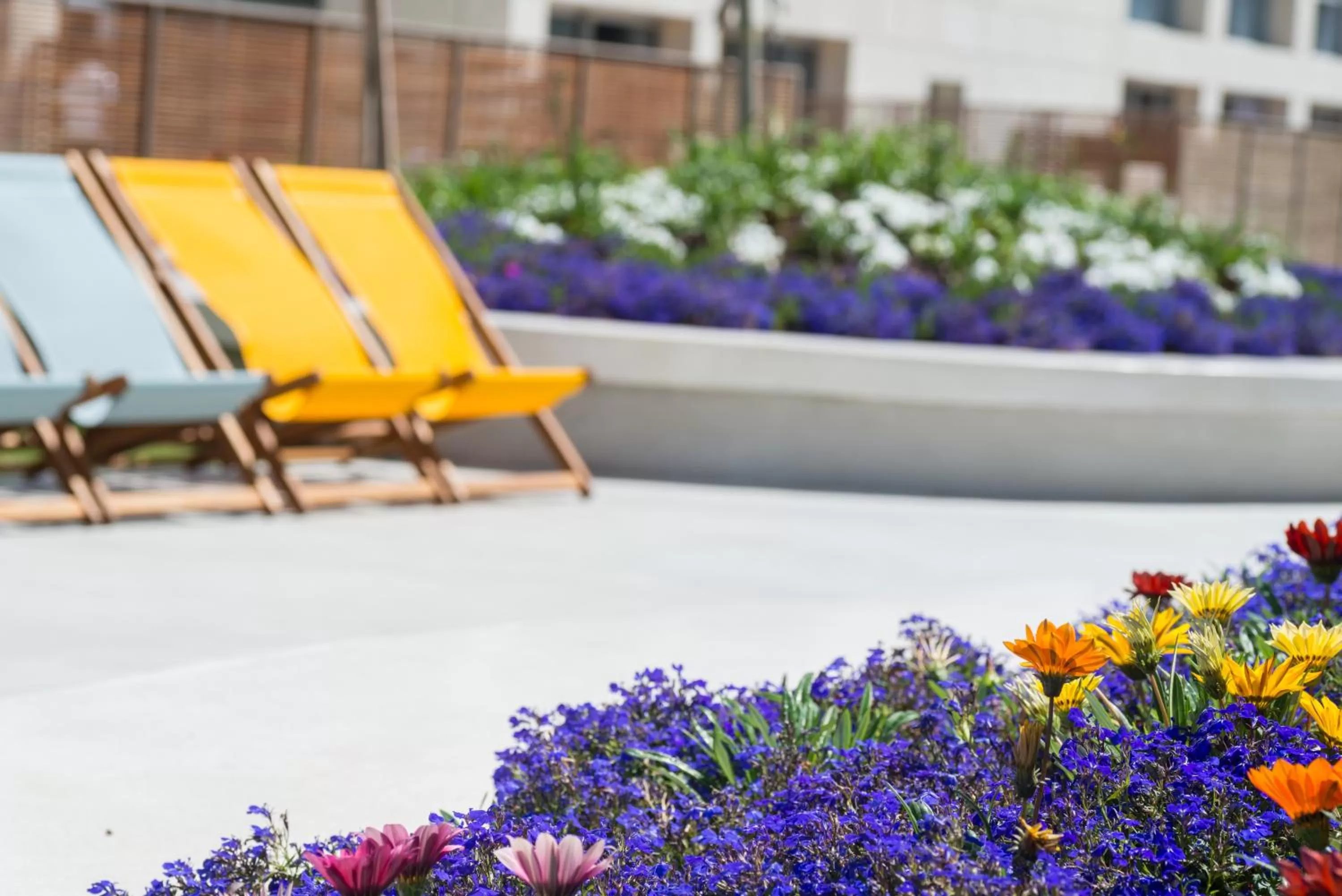 Garden in Herods Herzliya