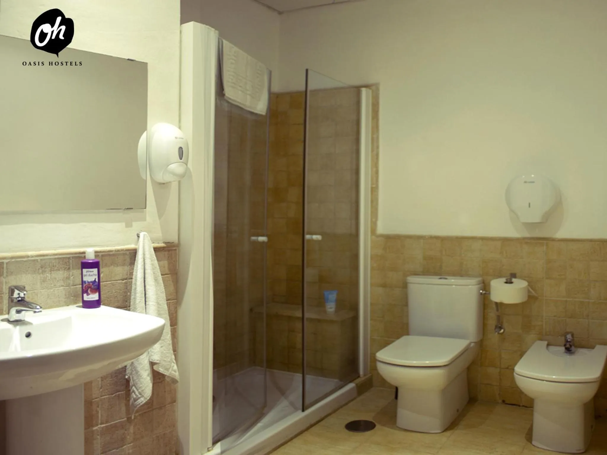Double Room with Private Bathroom in Oasis Backpackers' Hostel Palace Sevilla