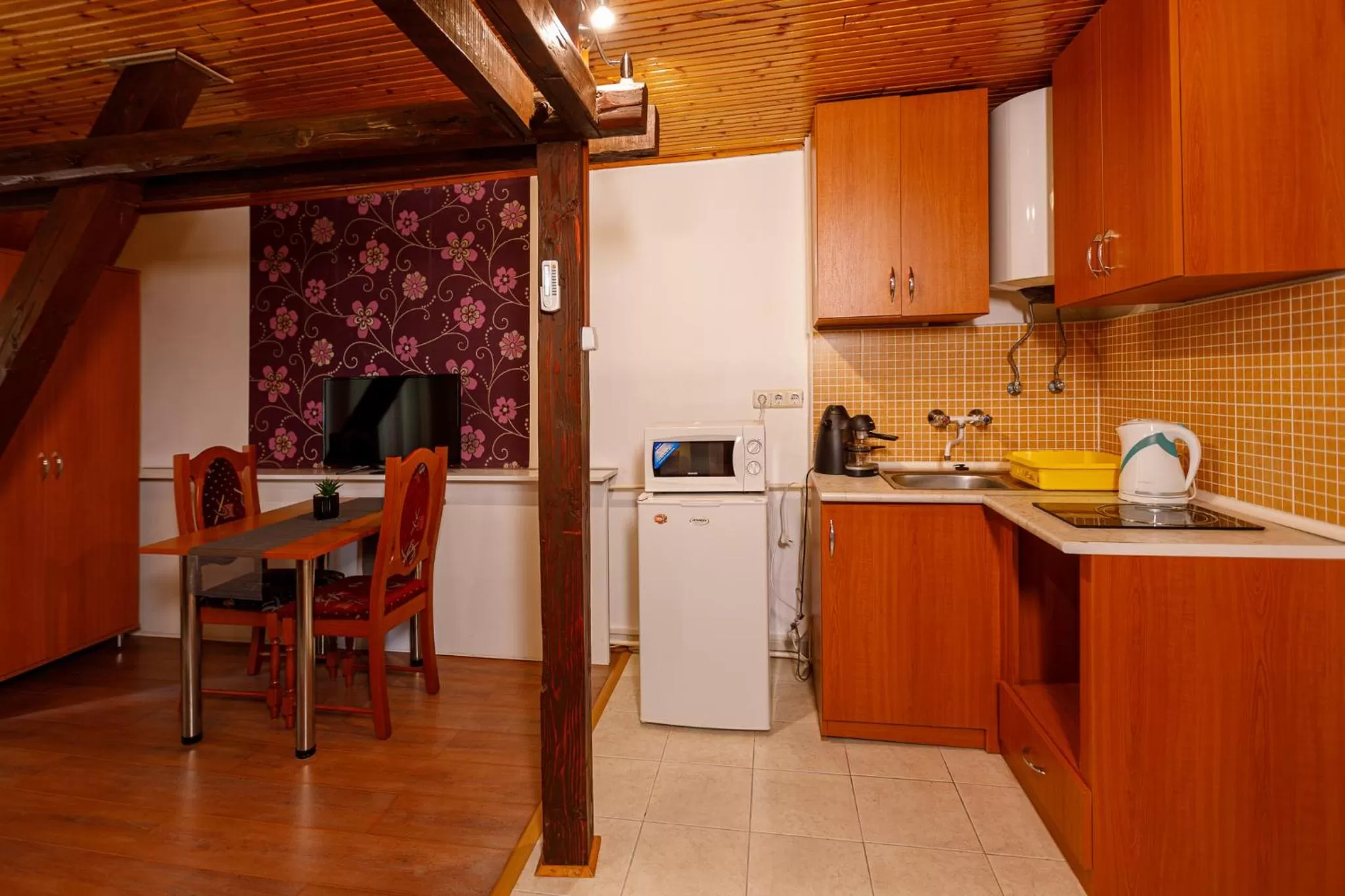 TV and multimedia in Central Panzió Gyula