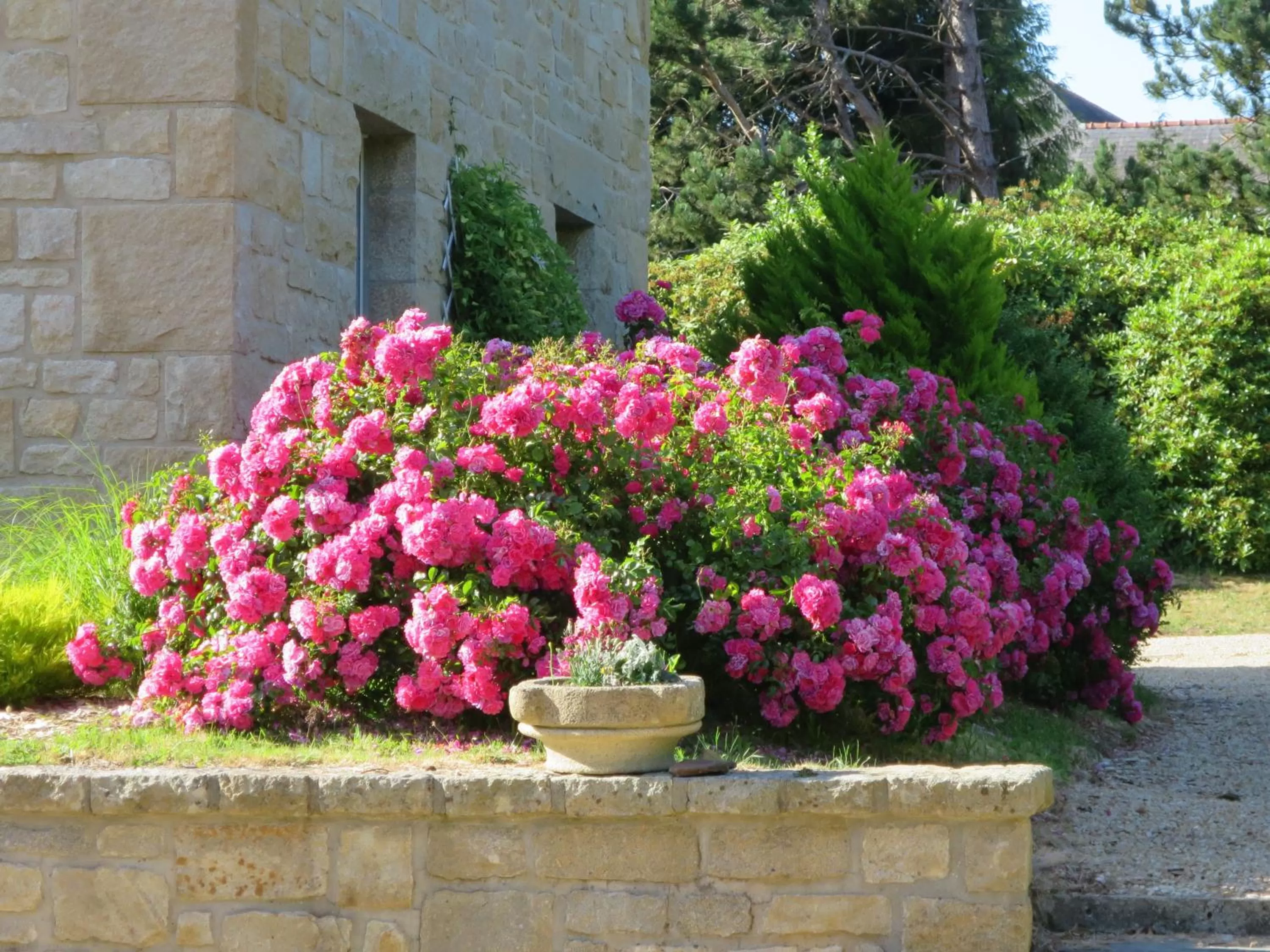 Garden view in KerBlondel