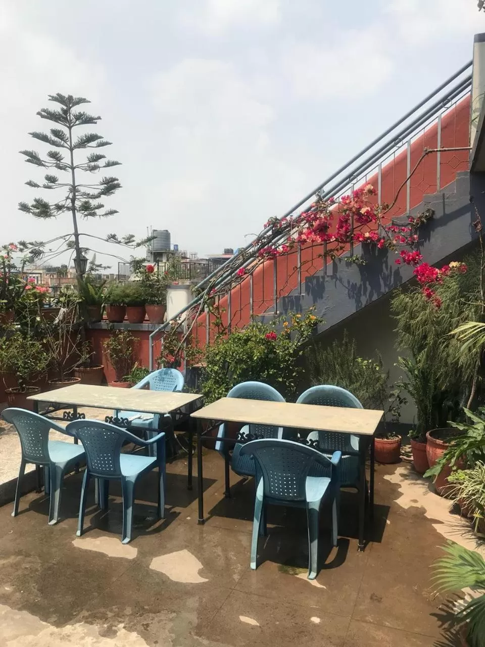 Garden view in Hotel Earth House