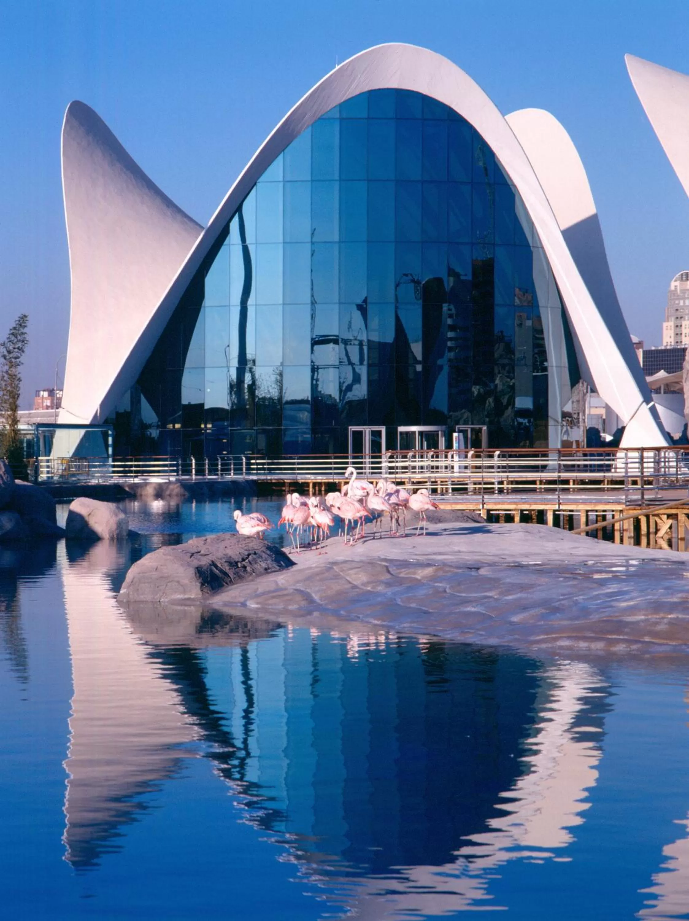 Entertainment in Ibis Budget Valencia Aeropuerto