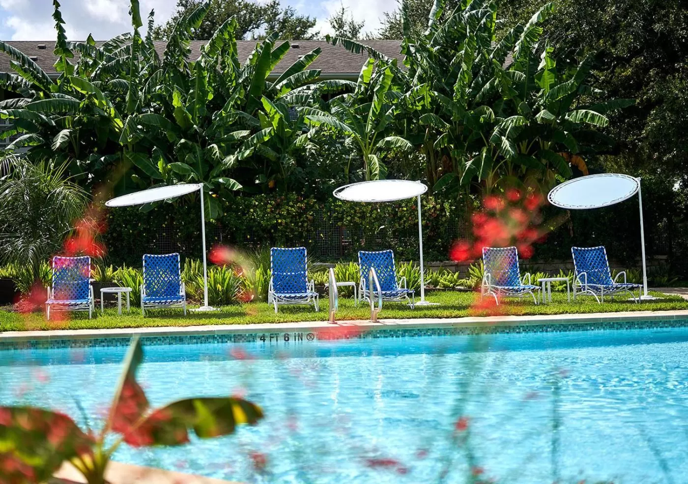 Swimming pool in Shady Villa Hotel