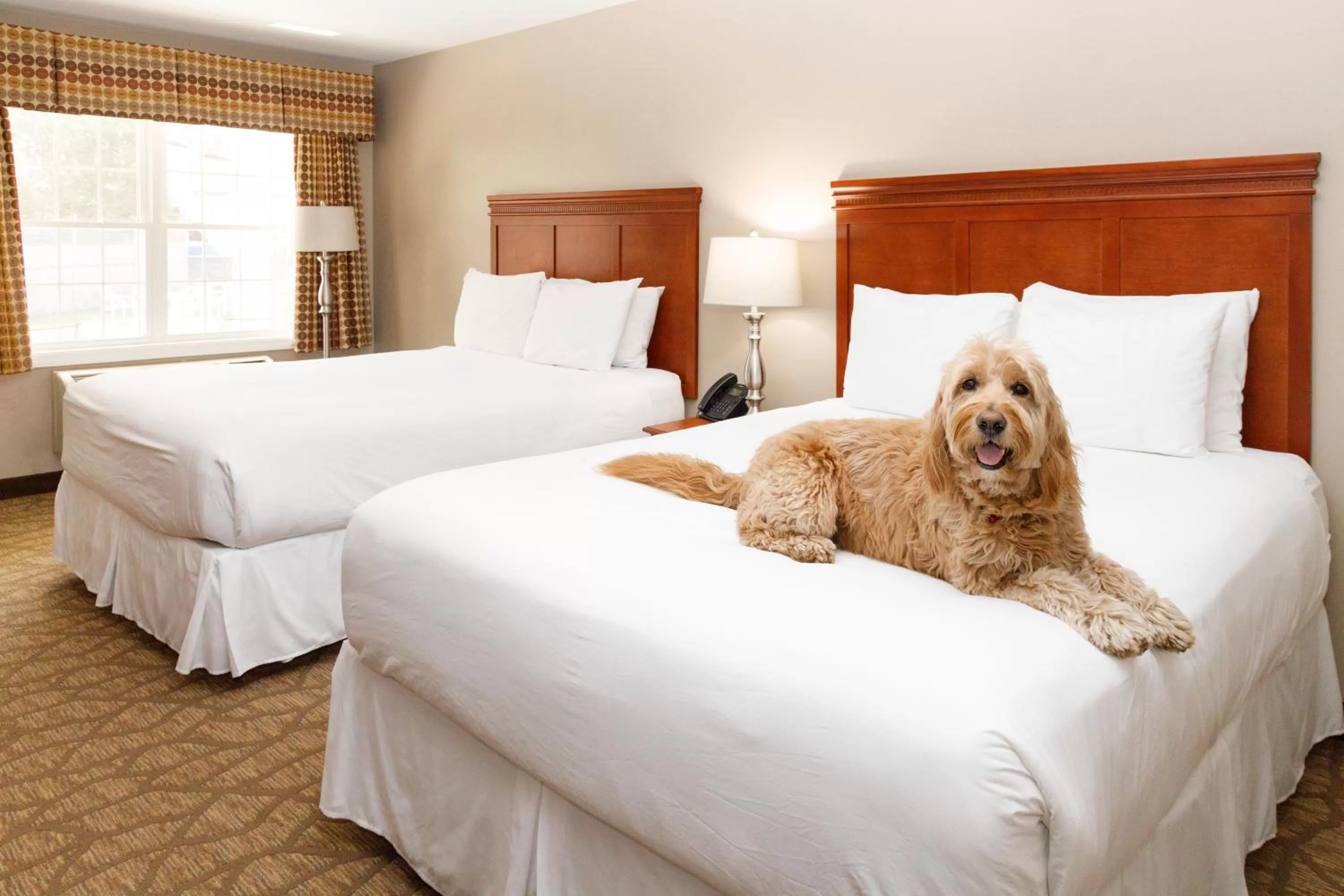 Bedroom, Bed in Admiral's Inn Resort