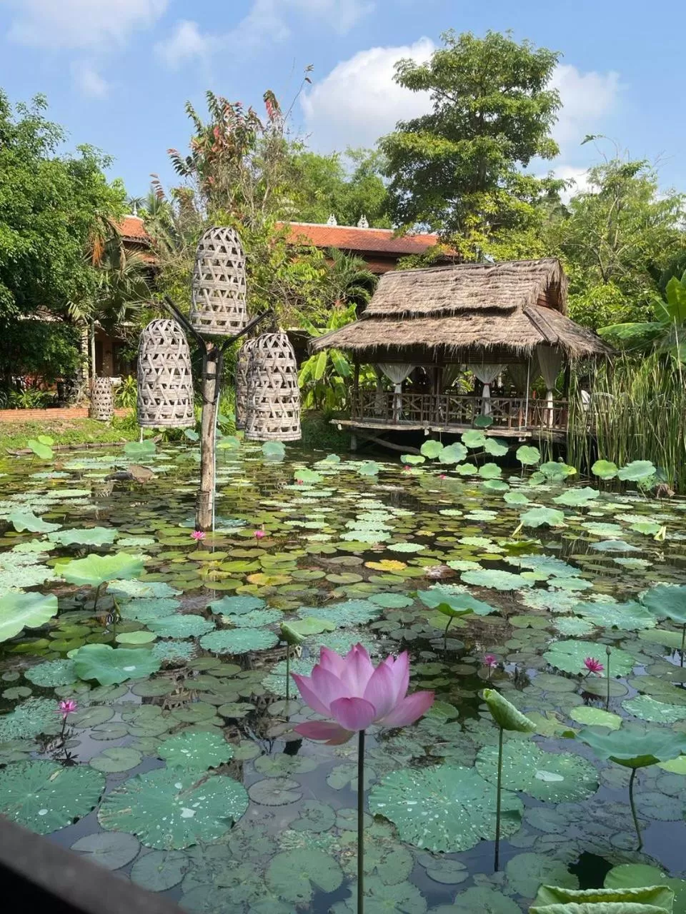 Garden view in Maisons Wat Kor