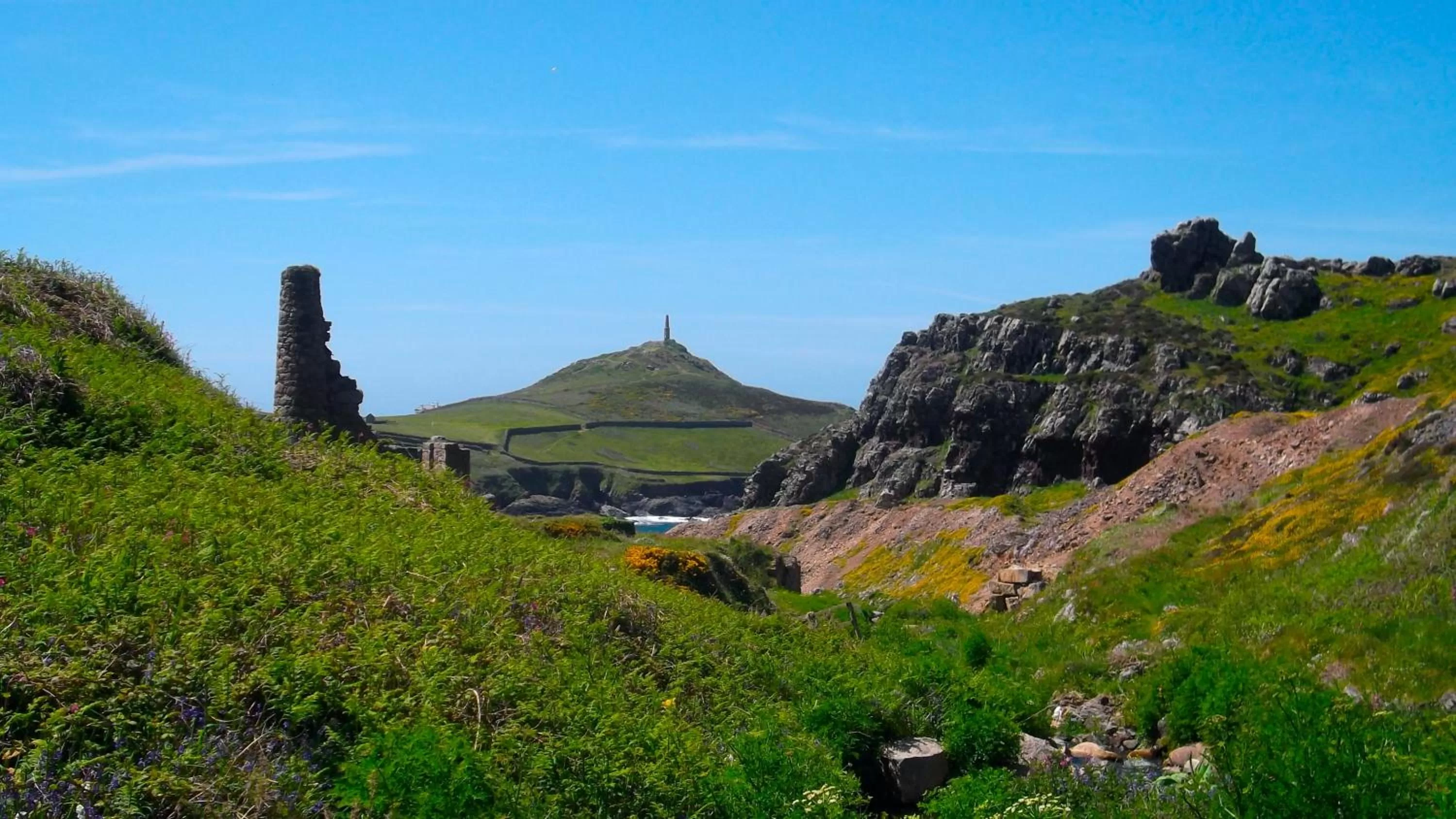 Area and facilities in Fig Tree House