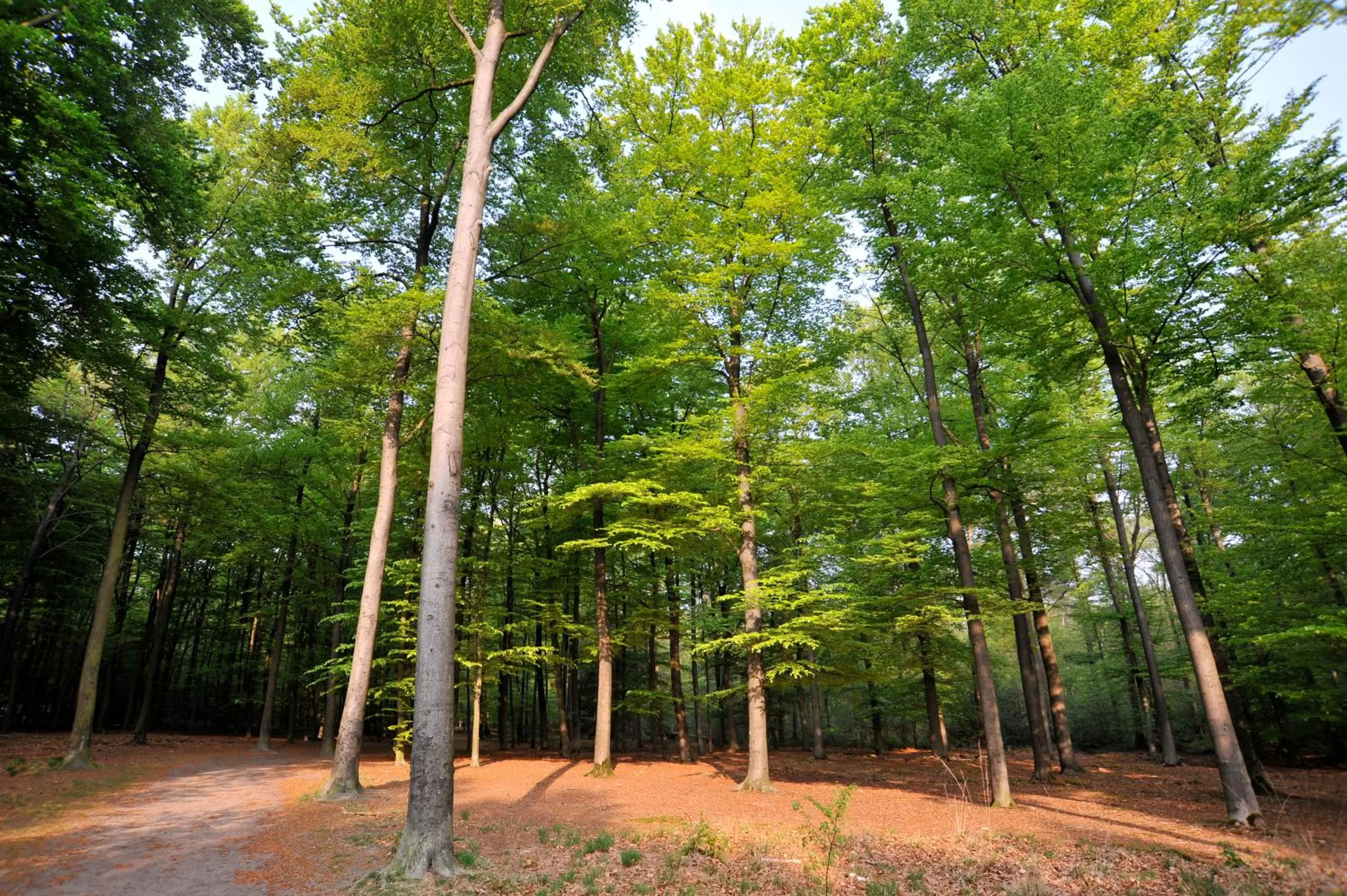 Activities in Parkhotel Mastbosch Breda