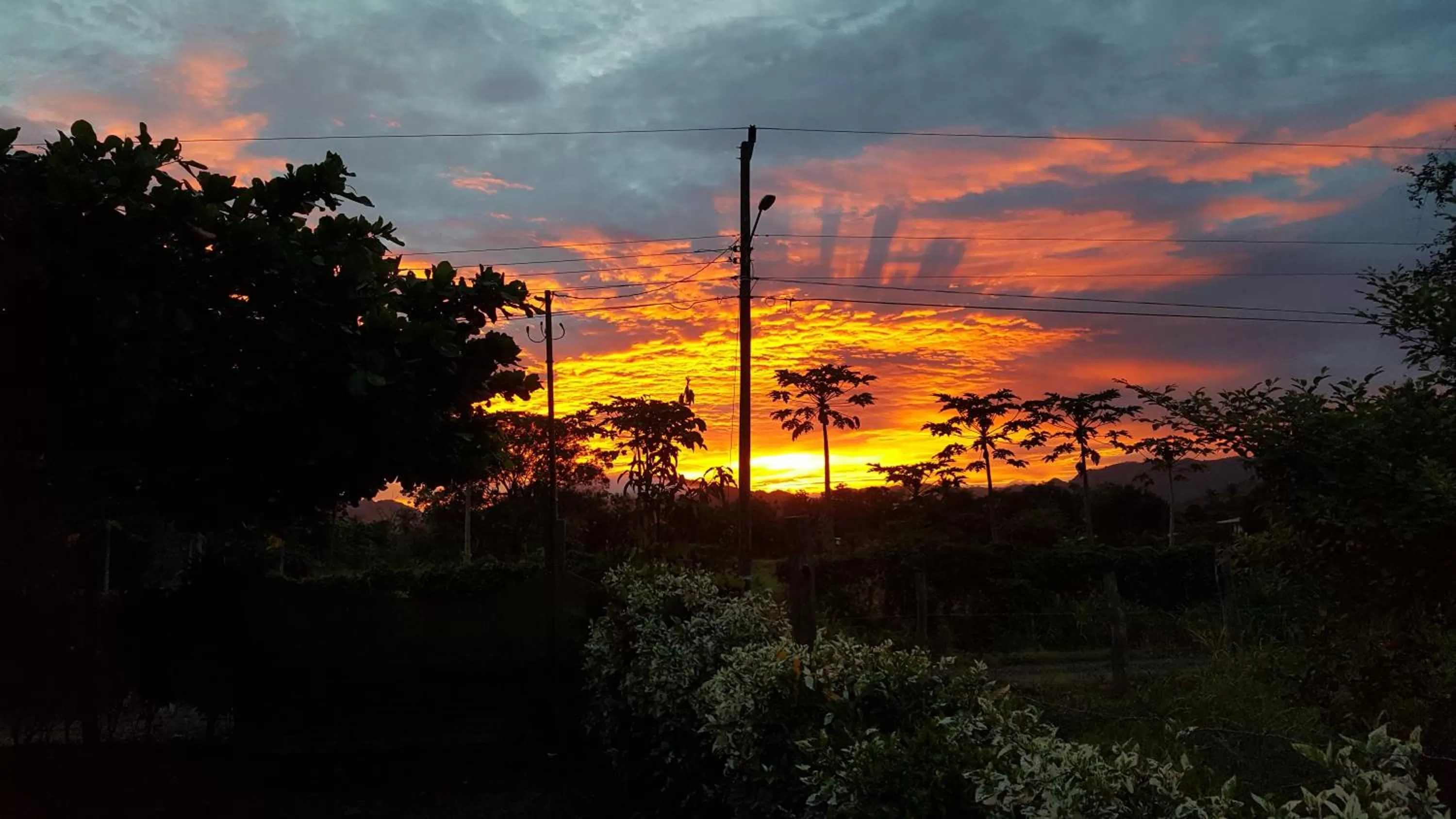 El Gecko Hotel & Tours