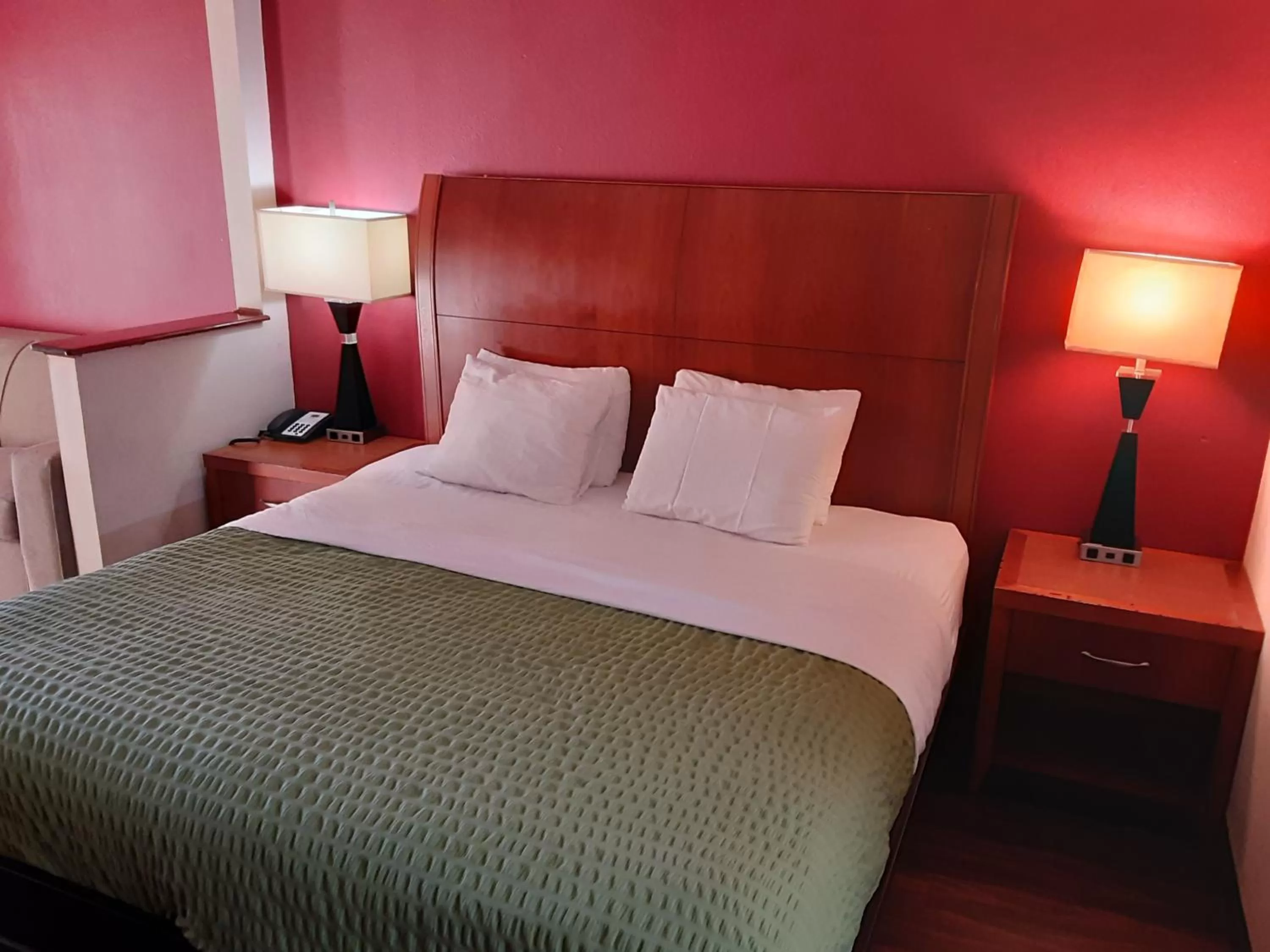 Bed in Econo Lodge Inn & Suites Griffin North