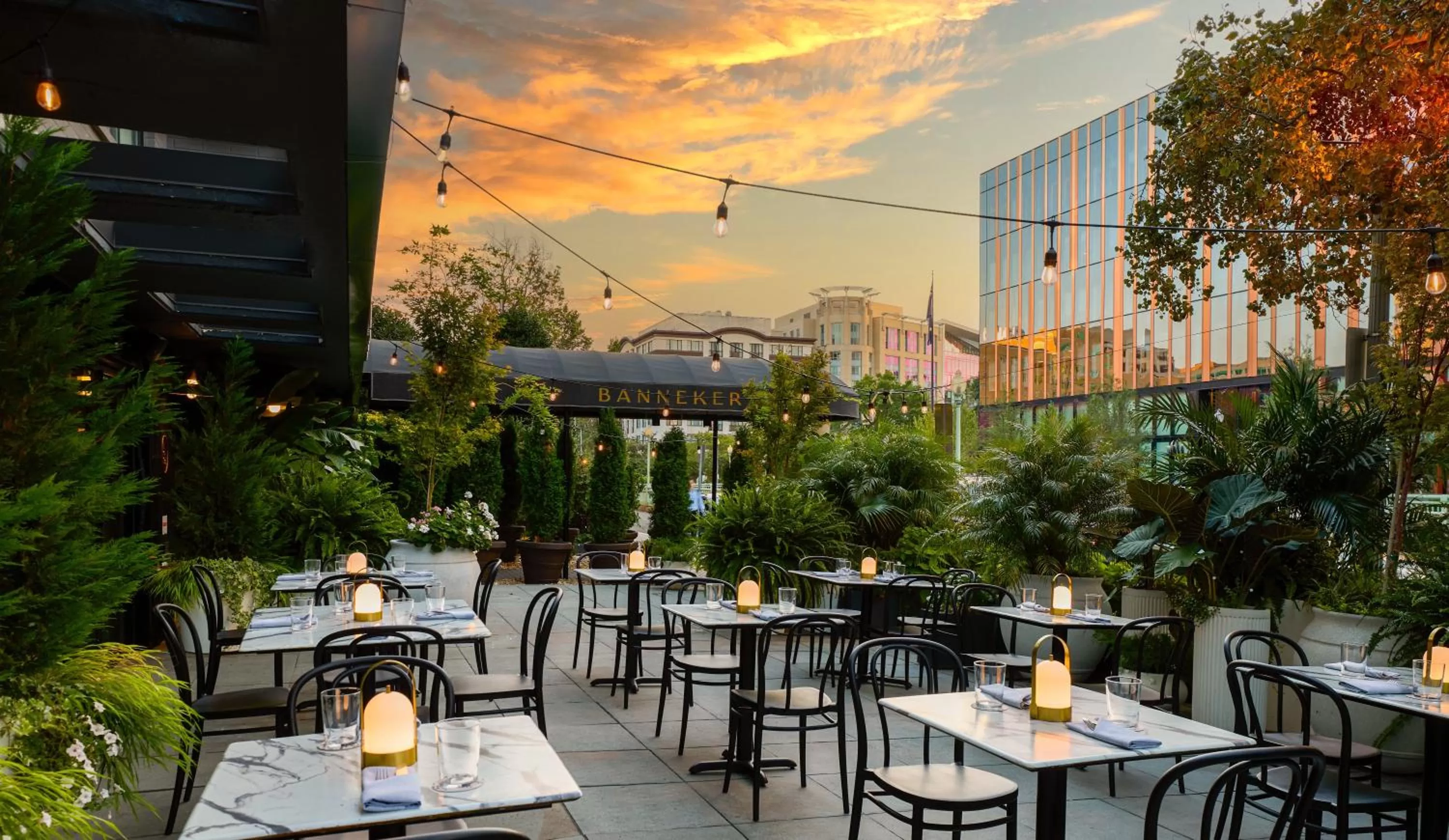 Garden in Kimpton Banneker Hotel by IHG