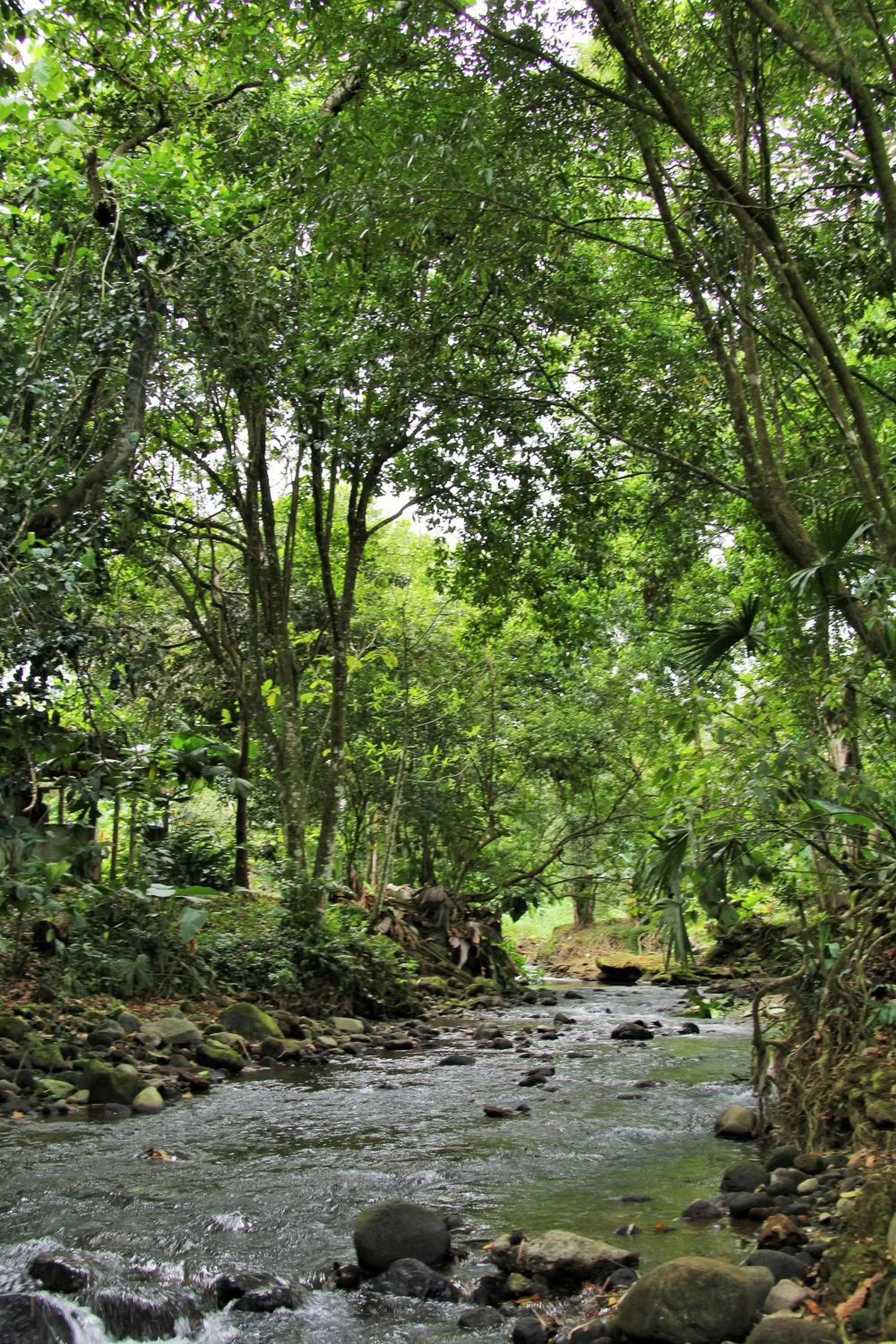 View (from property/room) in Hotel Monte Real