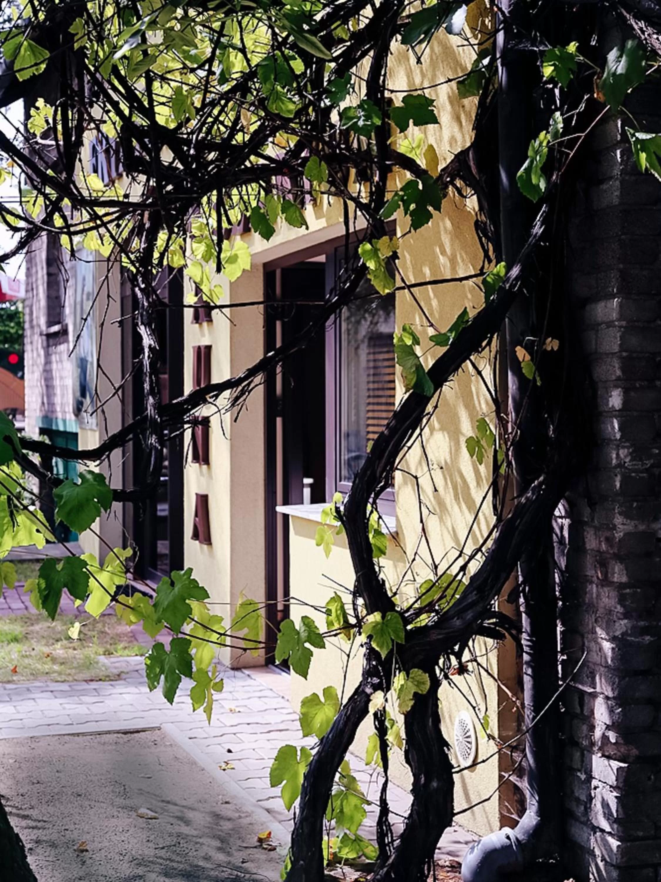 Property building in Oberża Złota Gęś