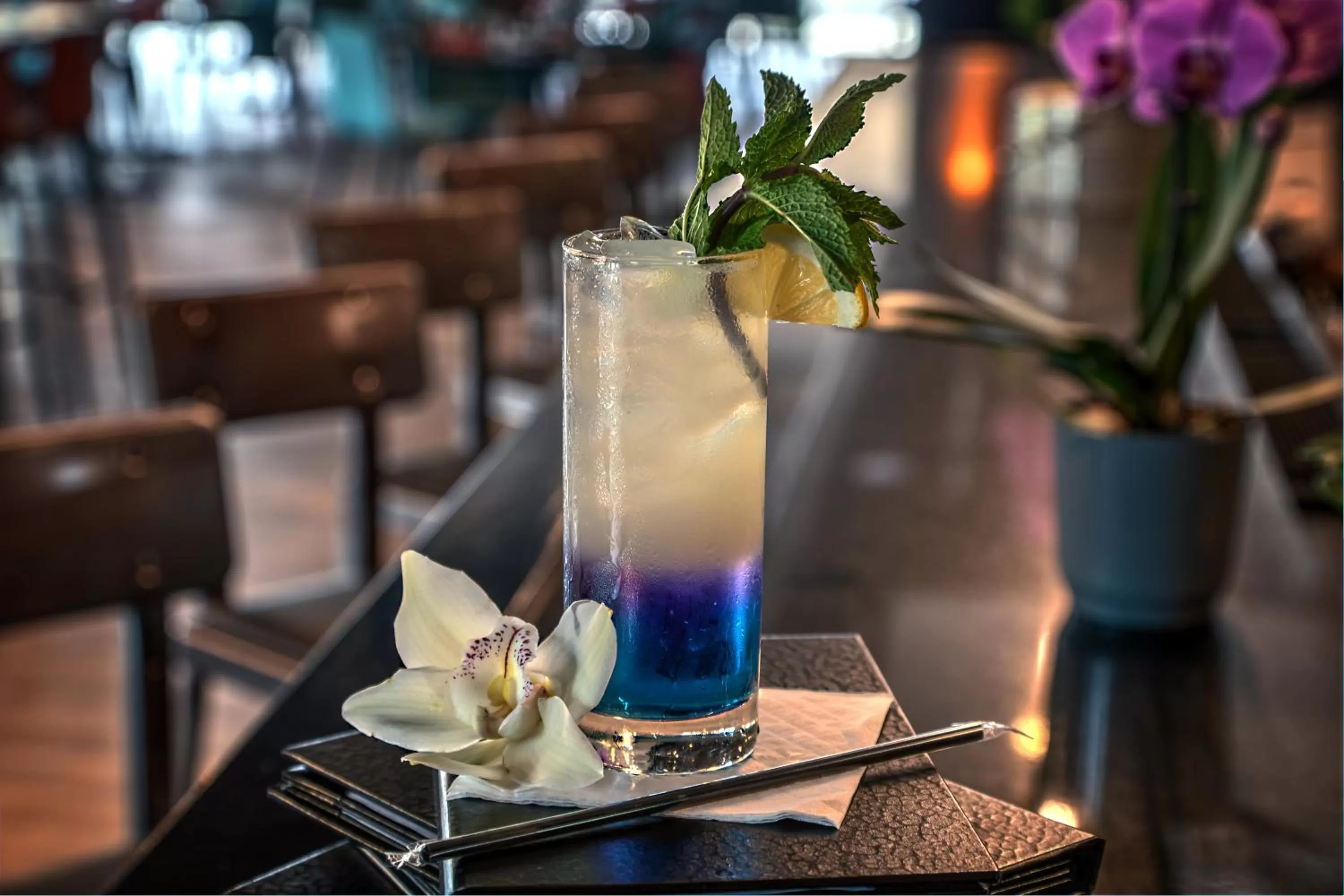 Lounge or bar in Hotel Indigo Pittsburgh University - Oakland by IHG