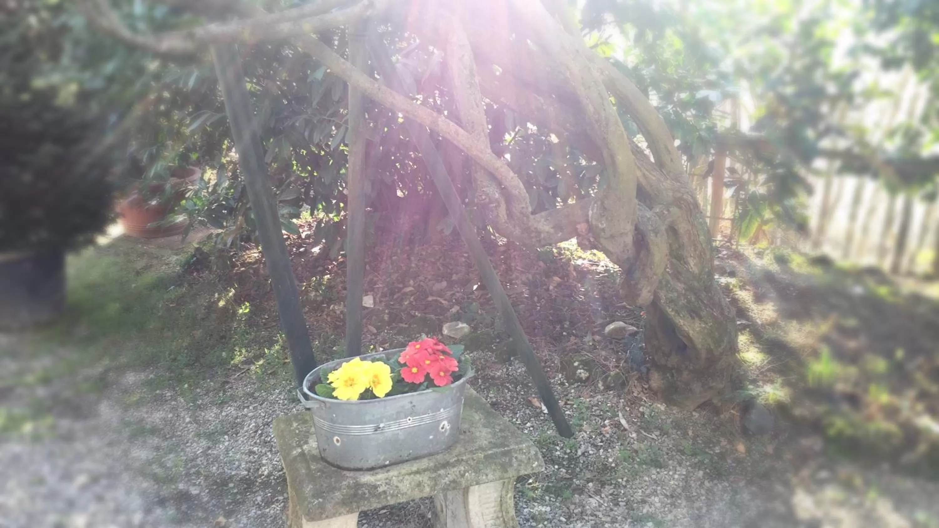 Facade/entrance in Le Querce Hotel