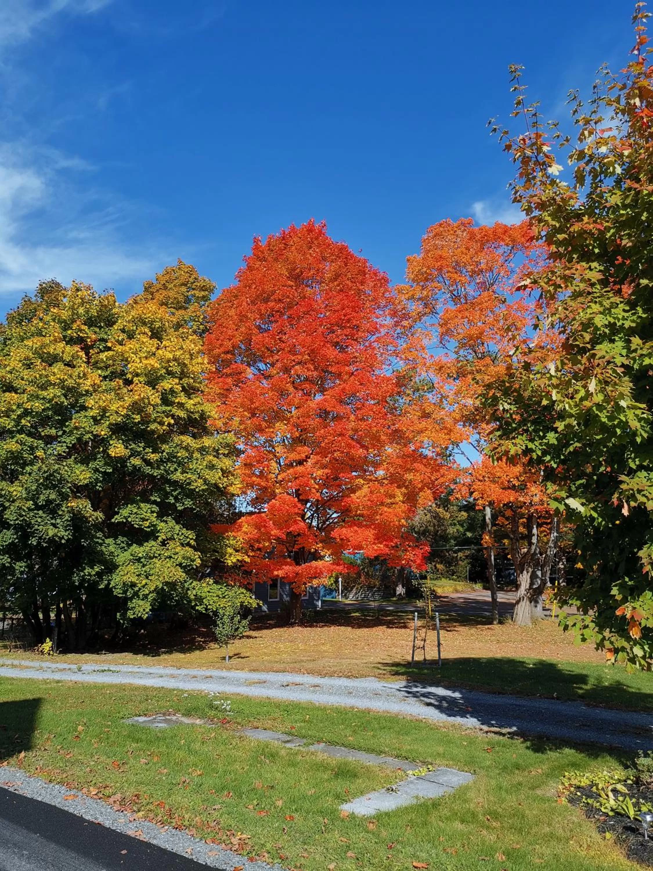 Garden view in By The River B&B