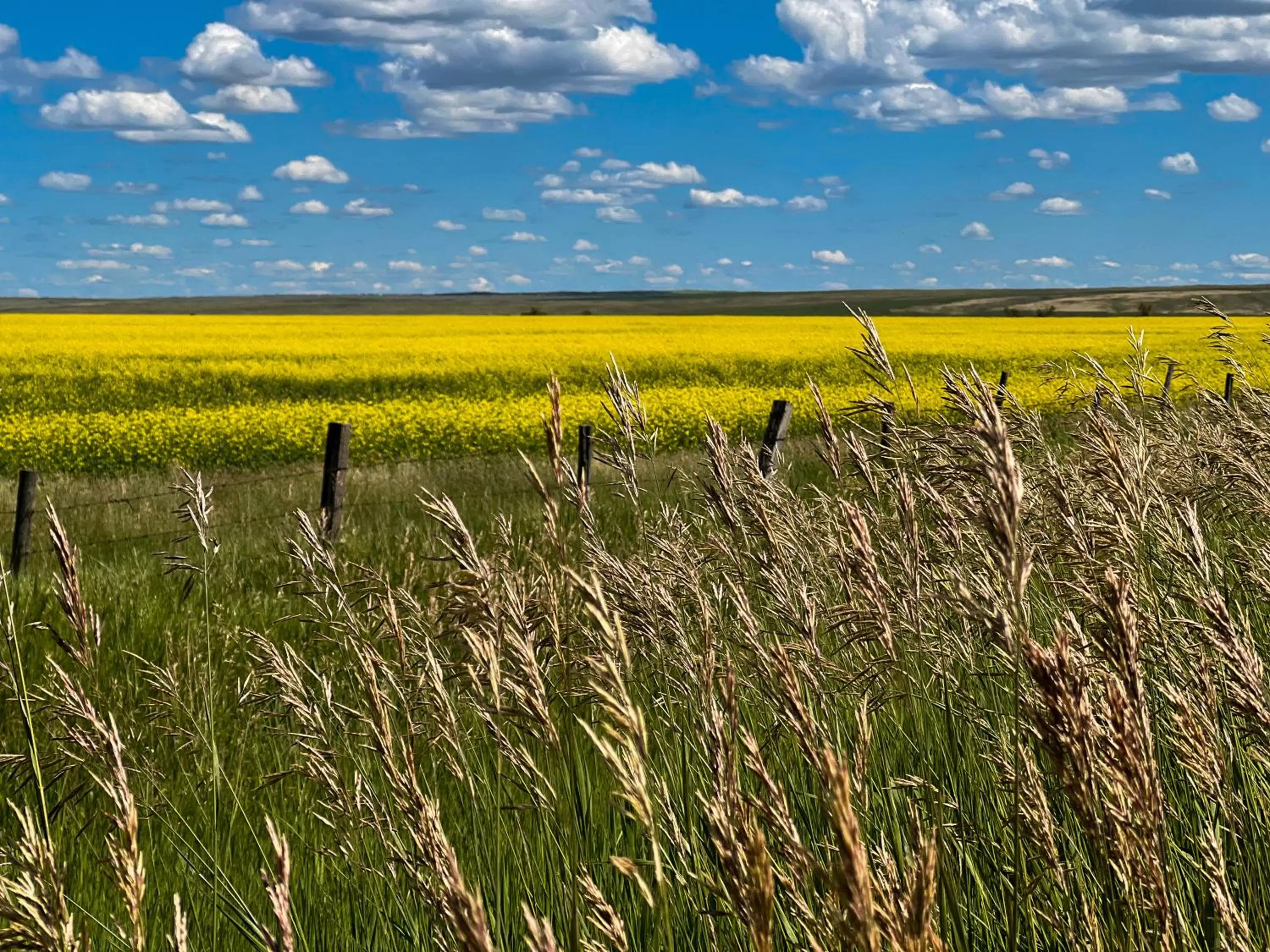 Landmark view in Coast Swift Current Hotel
