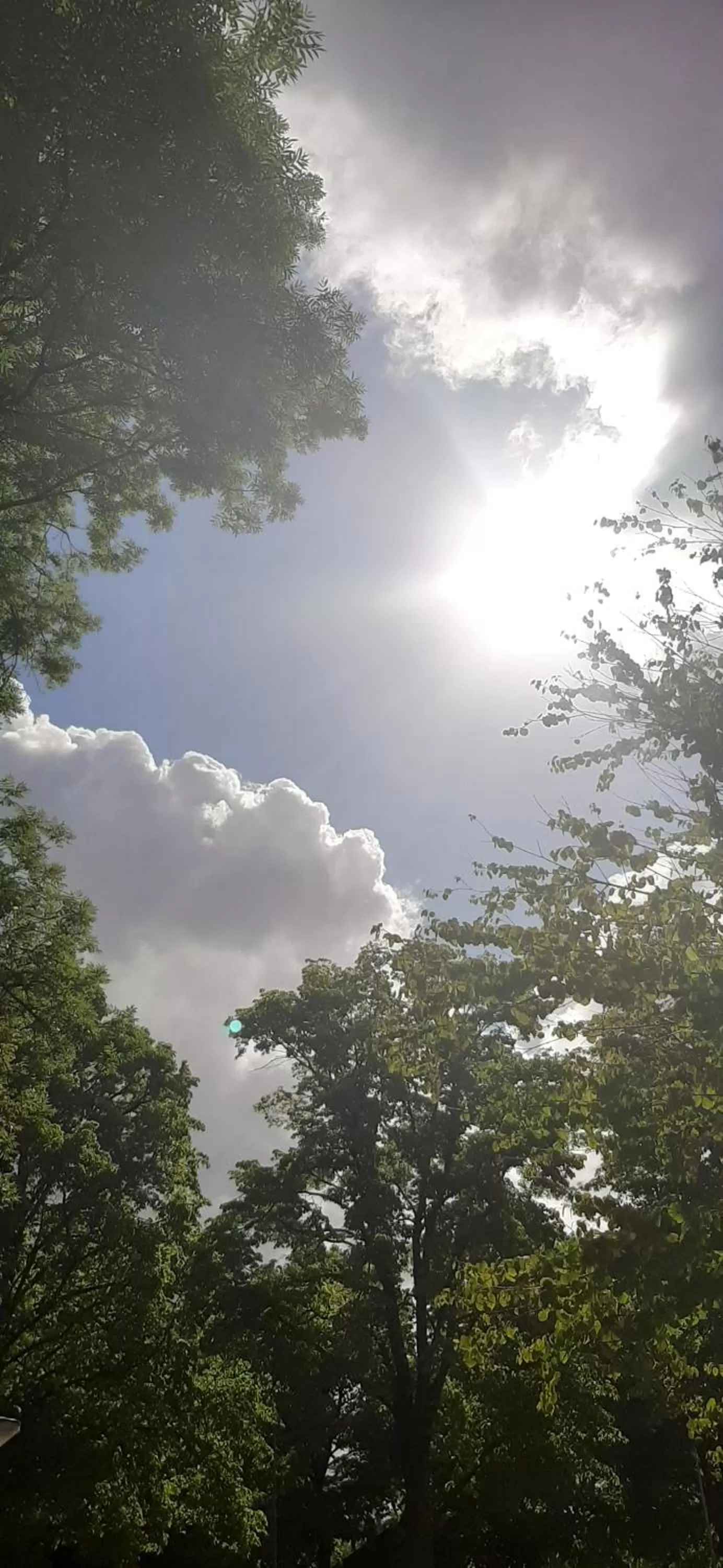 Day in Mi BnB Amsterdam