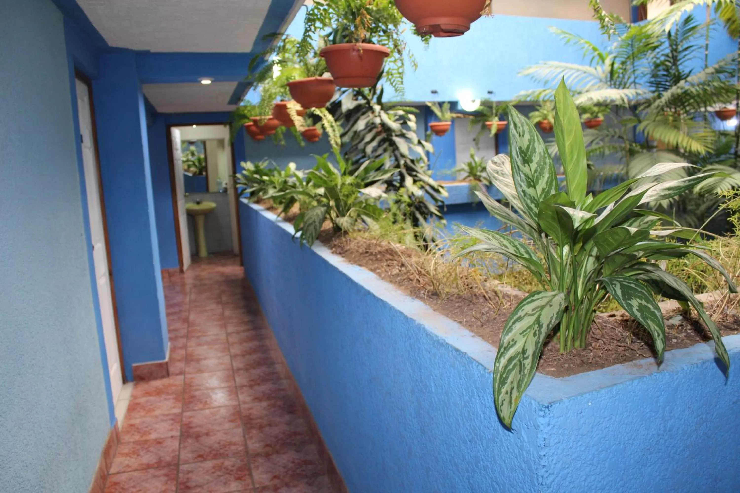 Property building in hotel kasa kamelot 2