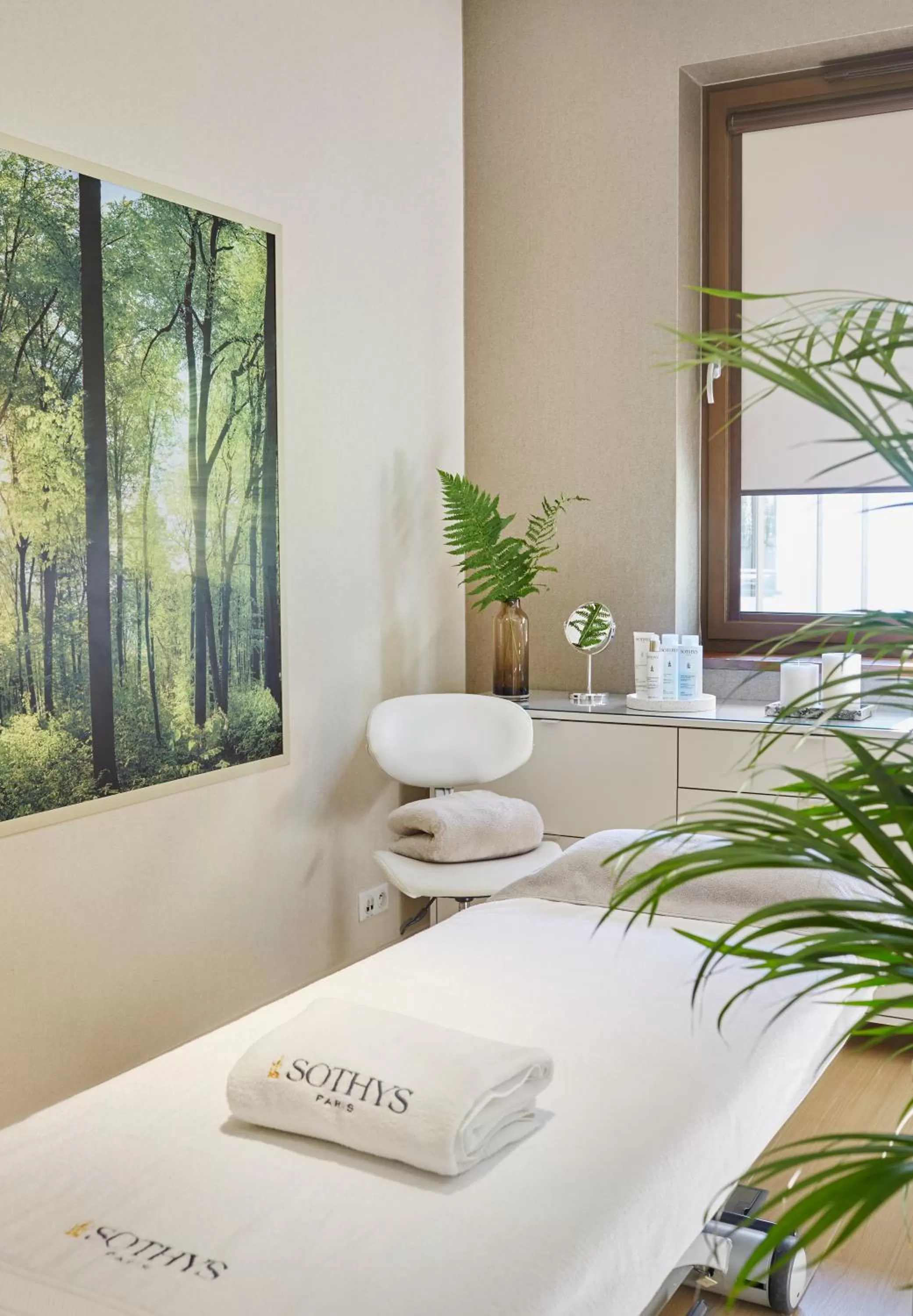 Spa and wellness centre/facilities, Bed in Columna Medica