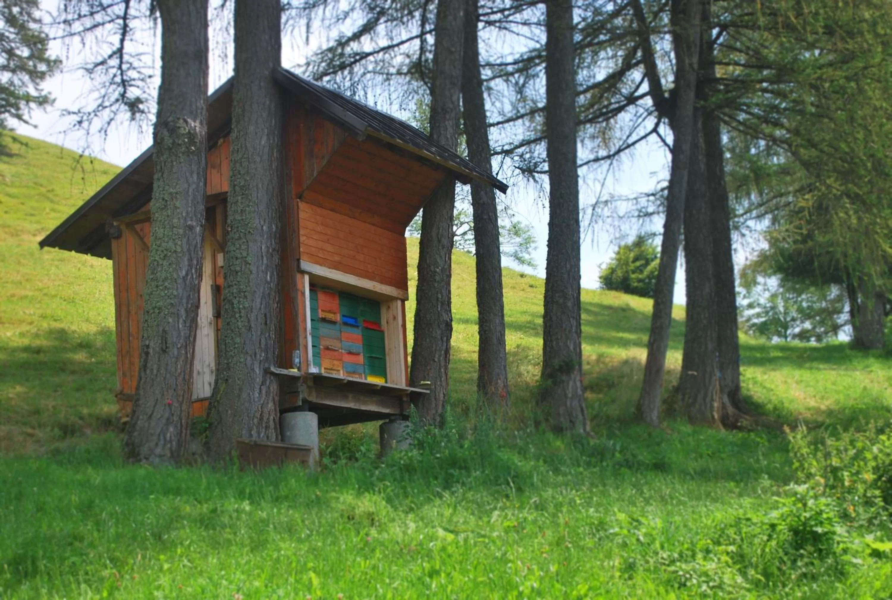 Animals, Property Building in Tourist Farm Pr'Dovar