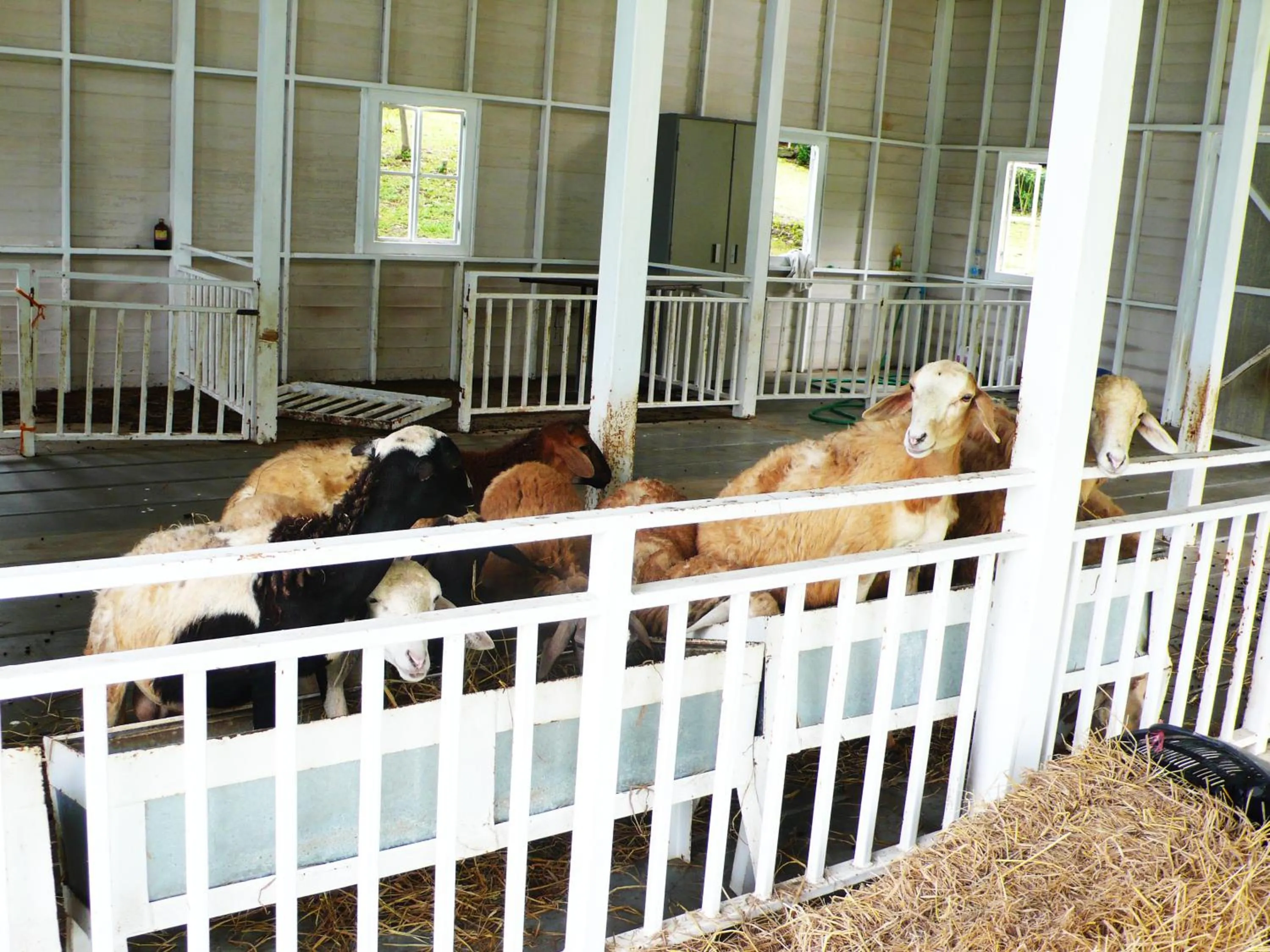 Garden in Brookside Valley Resort