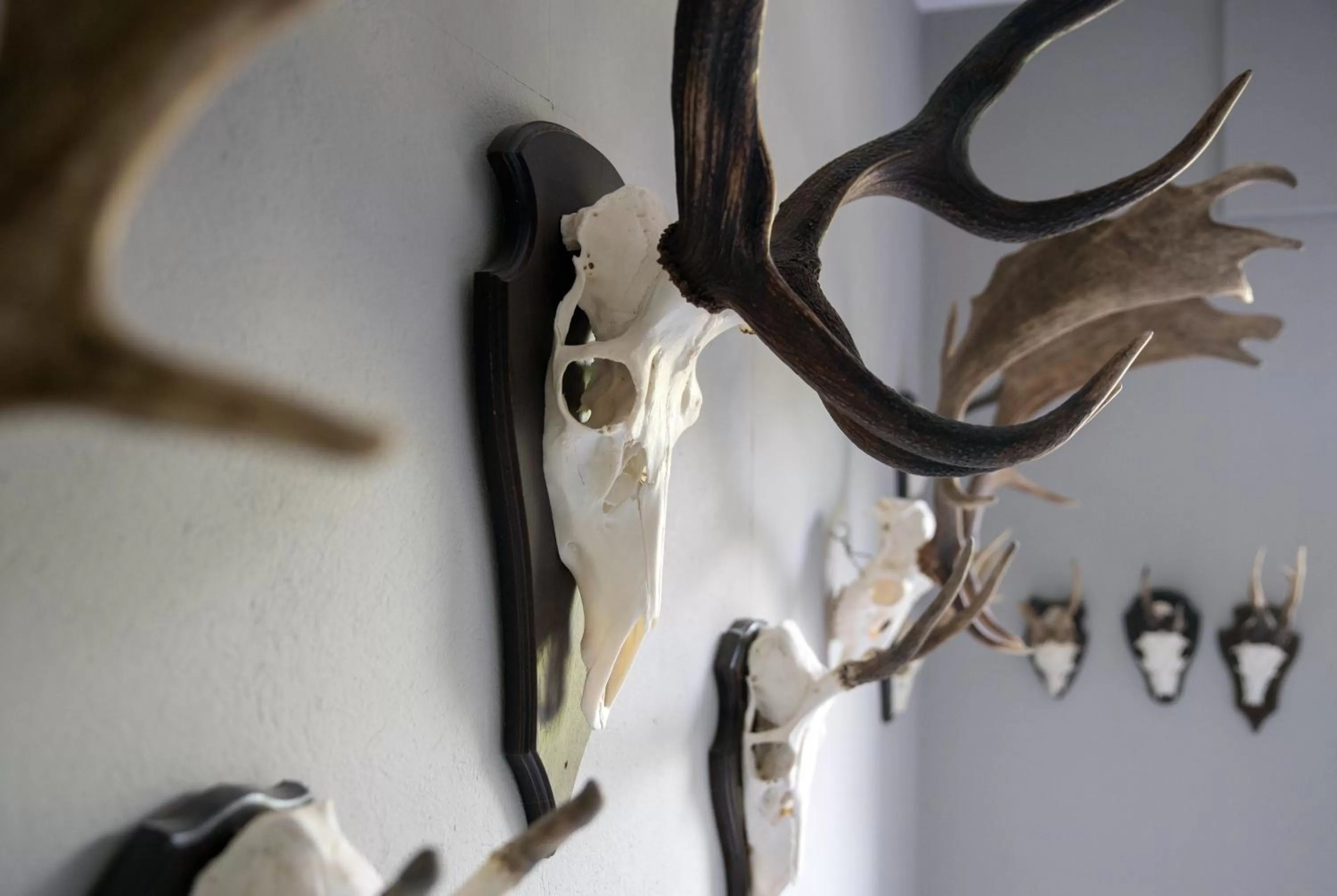 Restaurant/places to eat in Deeke's Quellenhof