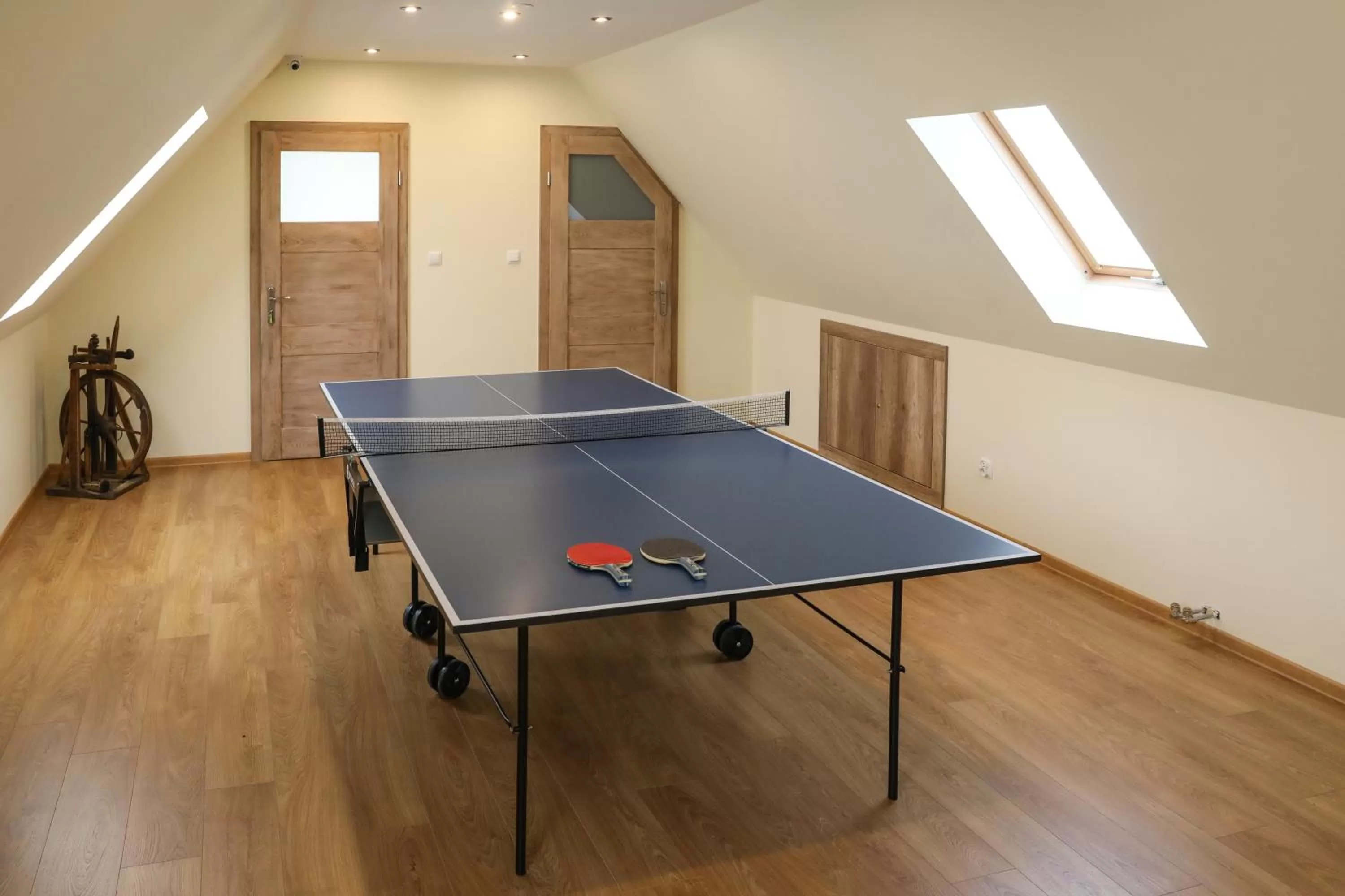 Table Tennis in Villa Kasper