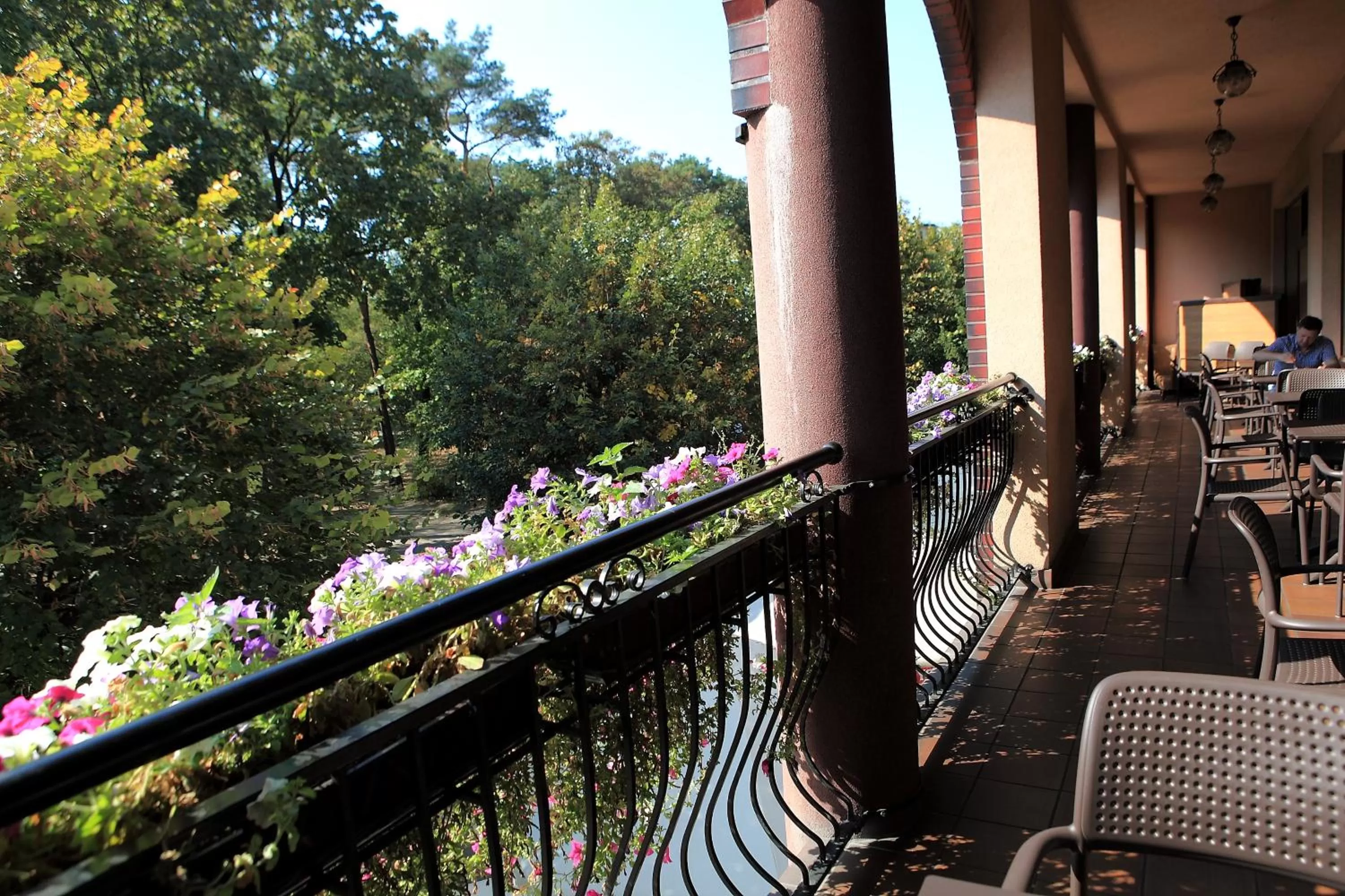 Balcony/Terrace in Hotel Katrina