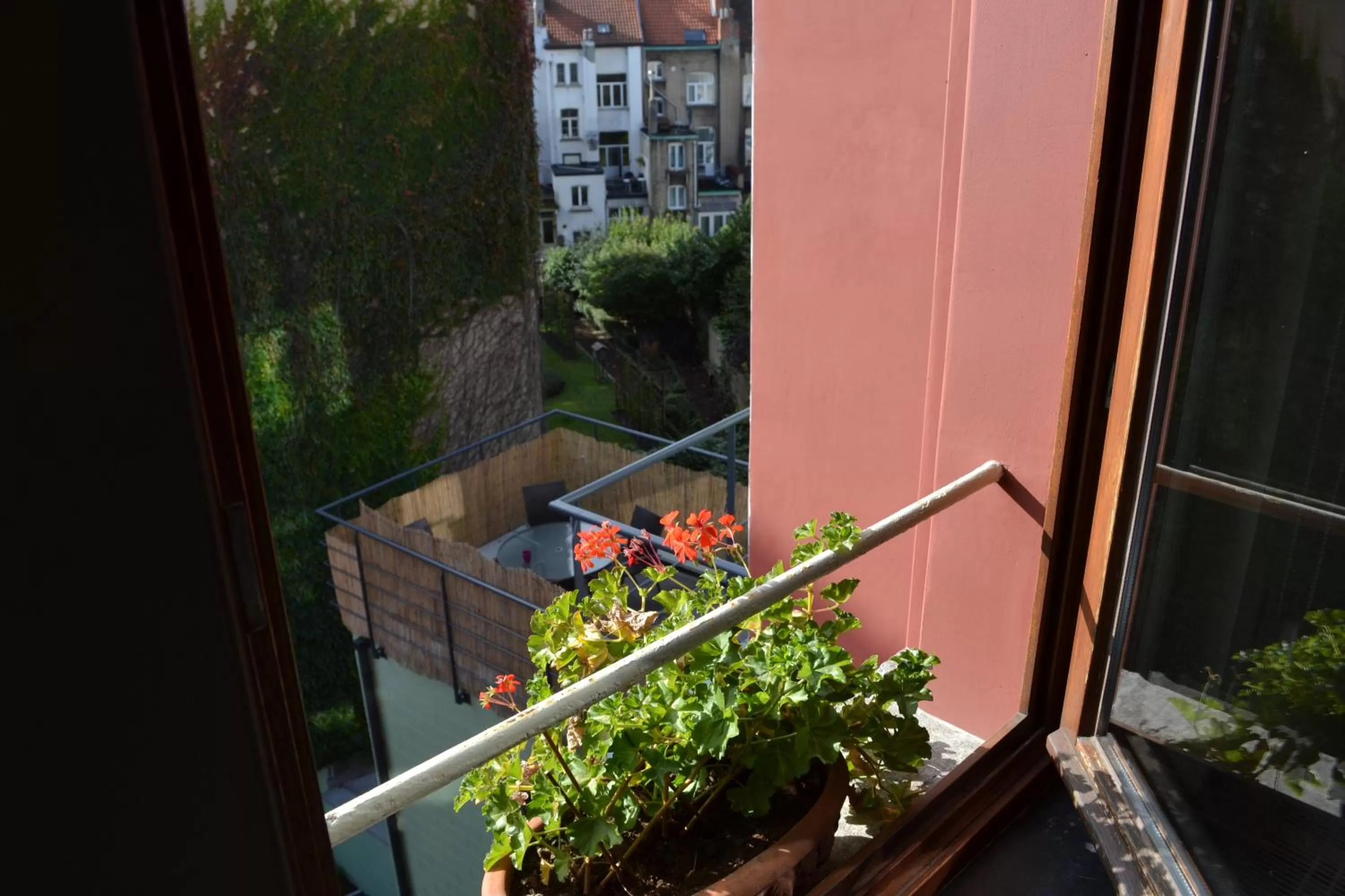 Area and facilities in Villa des Roses Voltaire