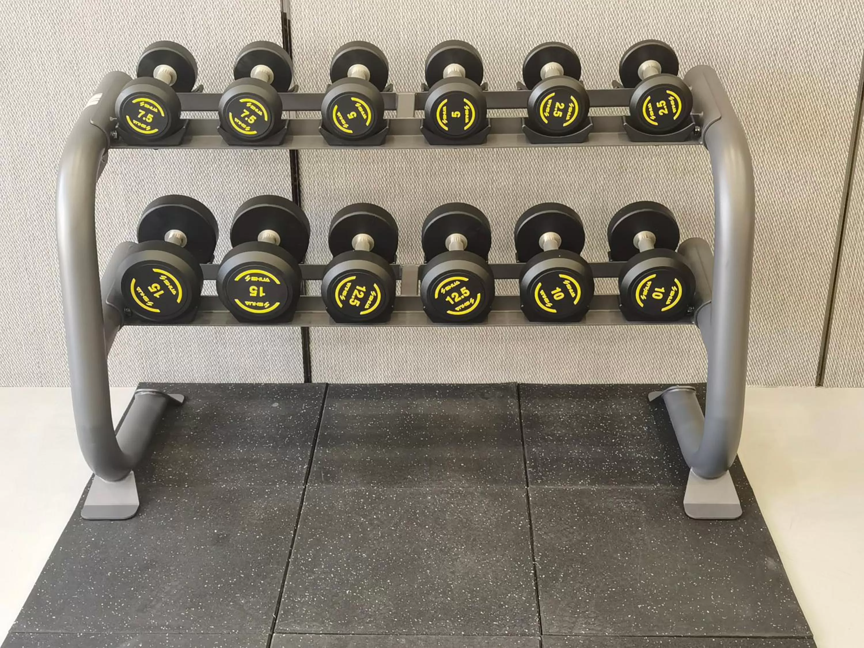 Fitness centre/facilities in Holiday Inn Express - Yantai YEDA by IHG