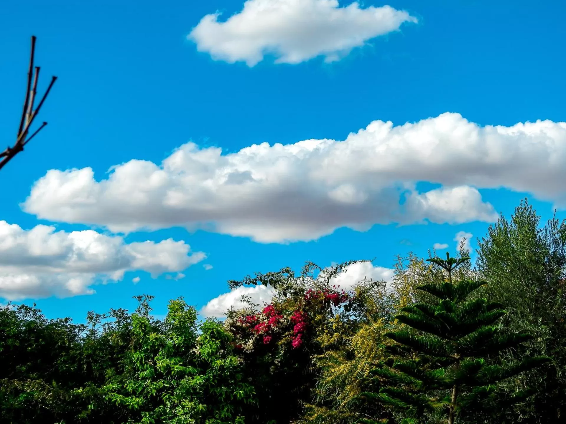 Natural landscape in Le Bleu House