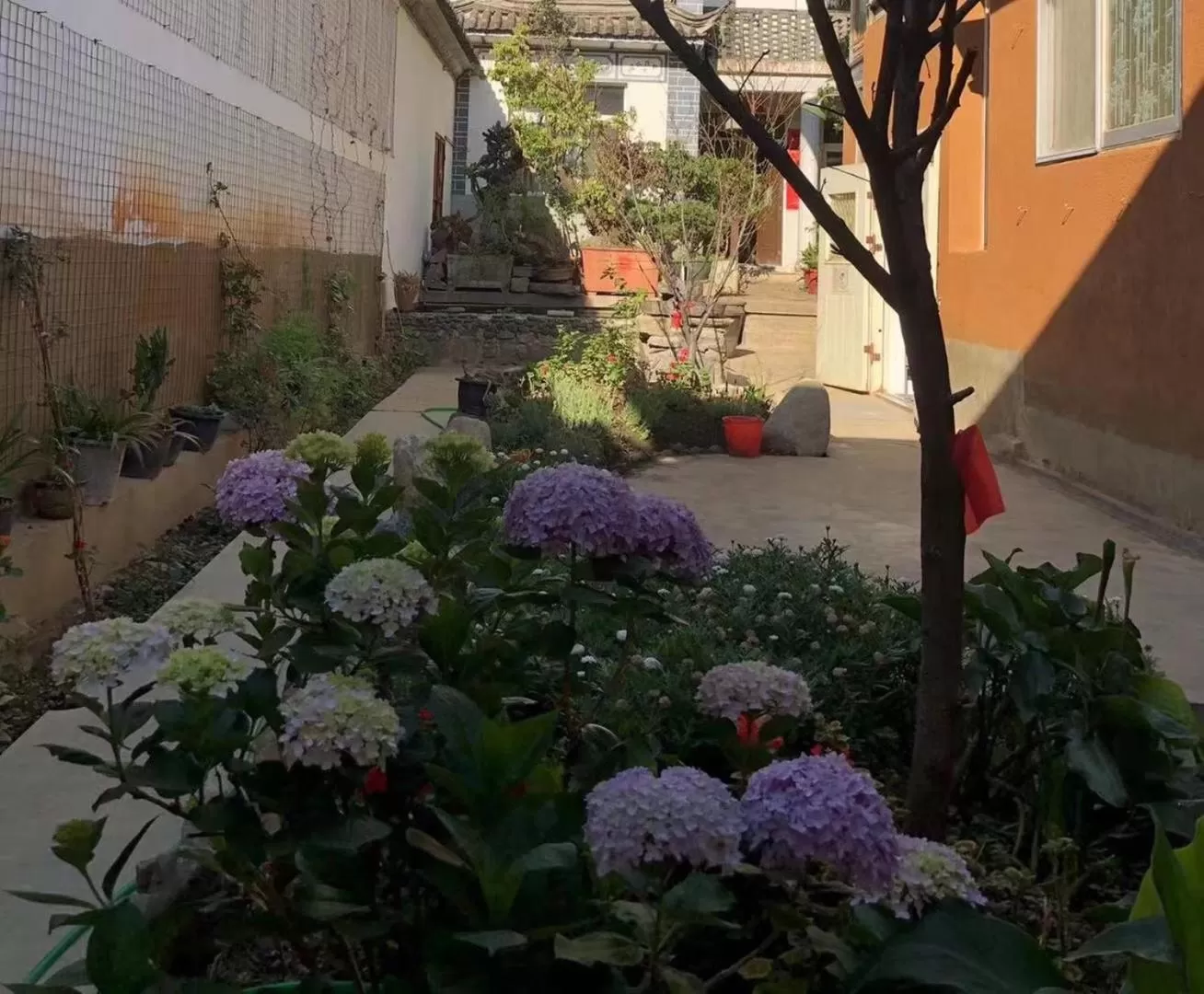Garden view in The Lily Pad Inn
