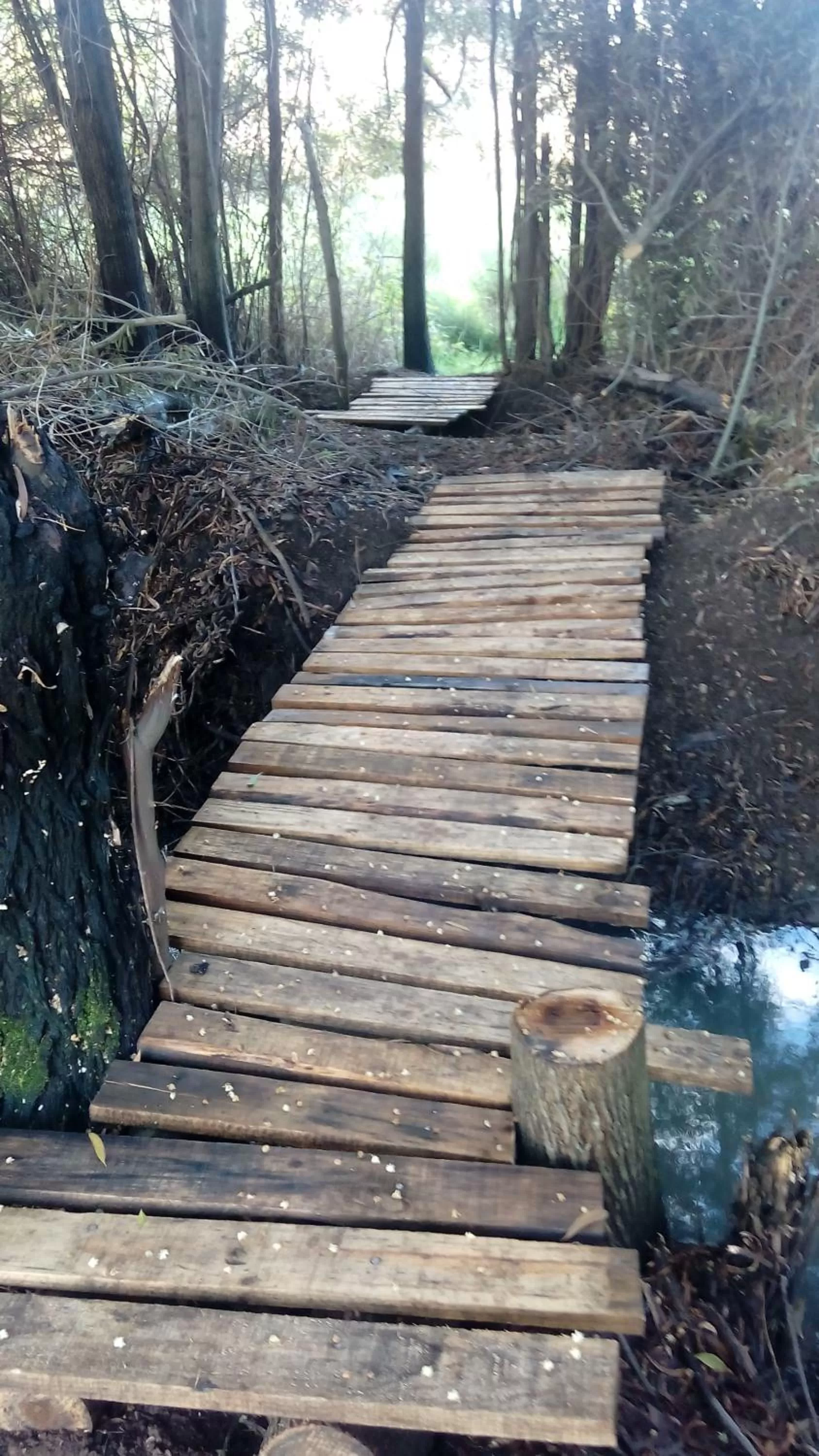 Hiking in La Casa de Adobe Natural y Más