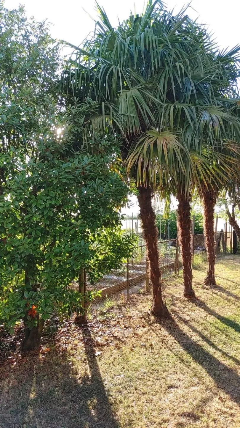 Garden in B&B Al Vecio Morer