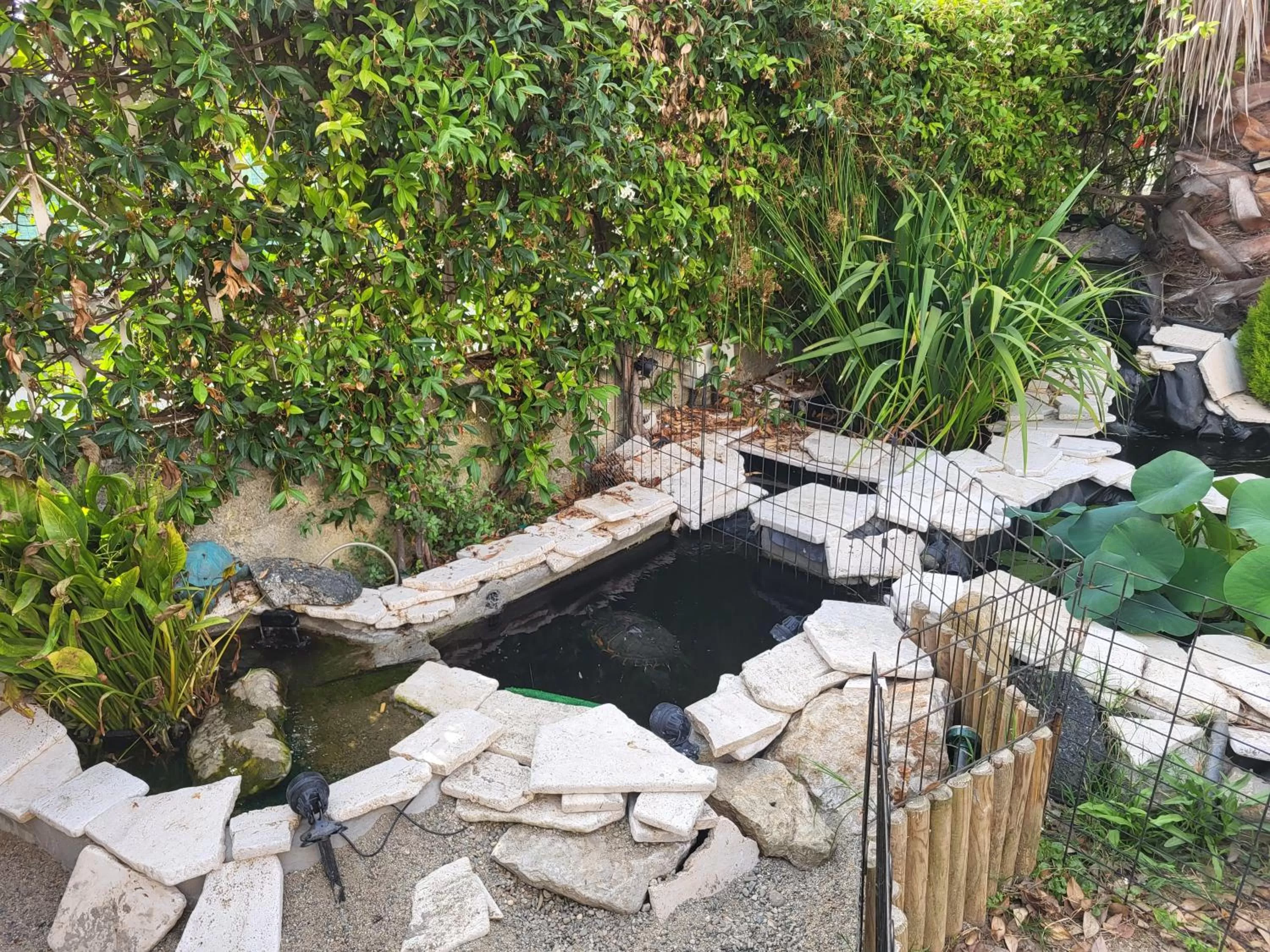 Animals in B&B Magna Grecia