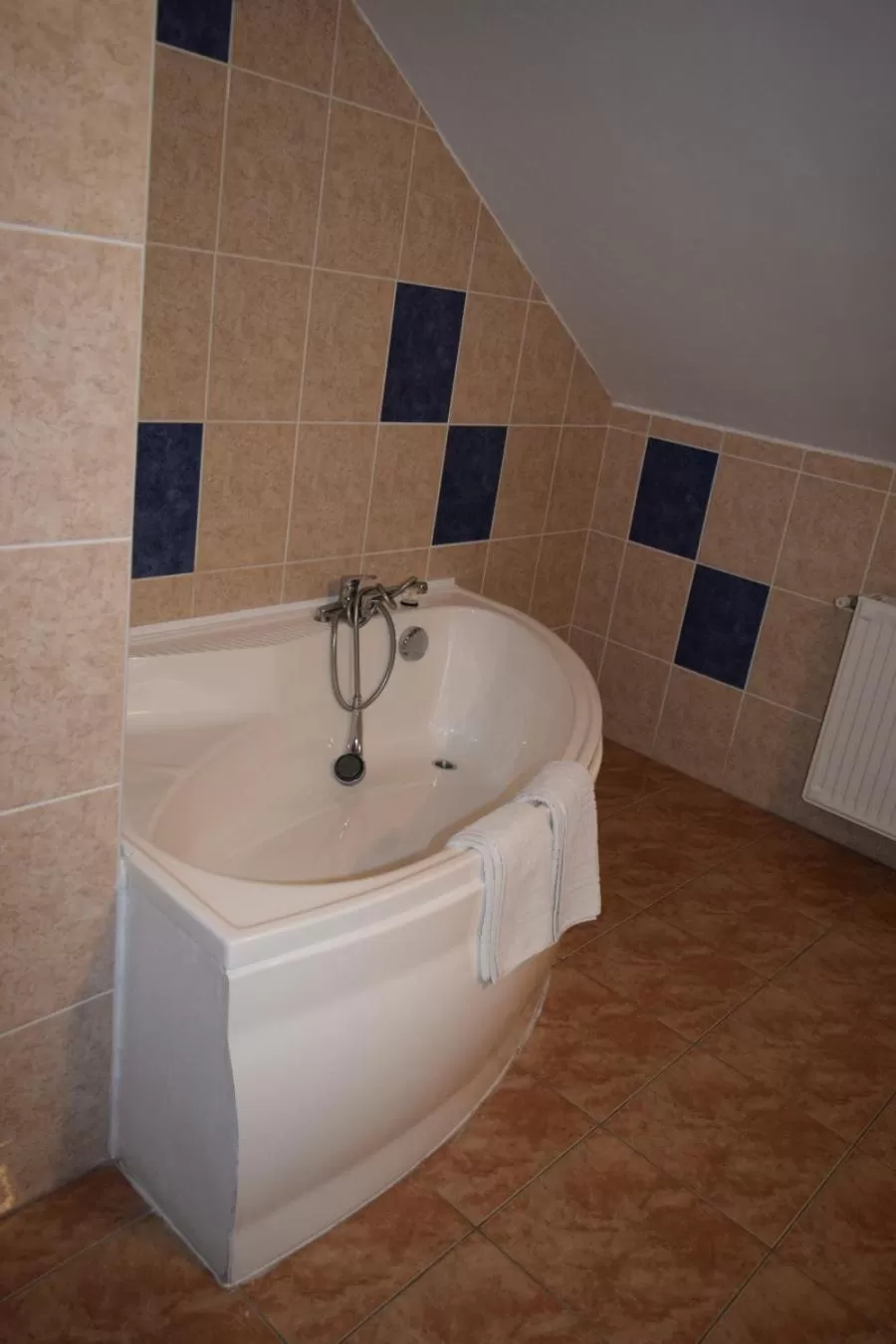 Bathroom in Vi La Ski Petrosani