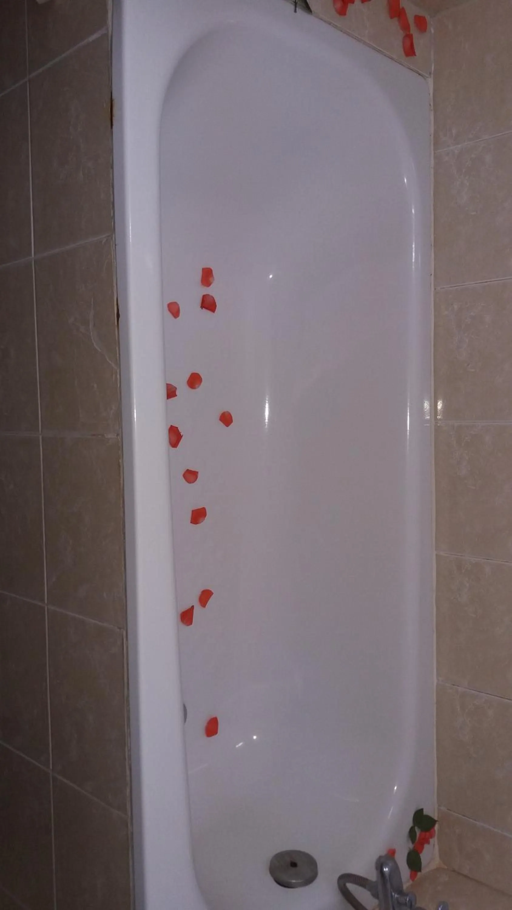 Mango Garden Hoi An Homestay