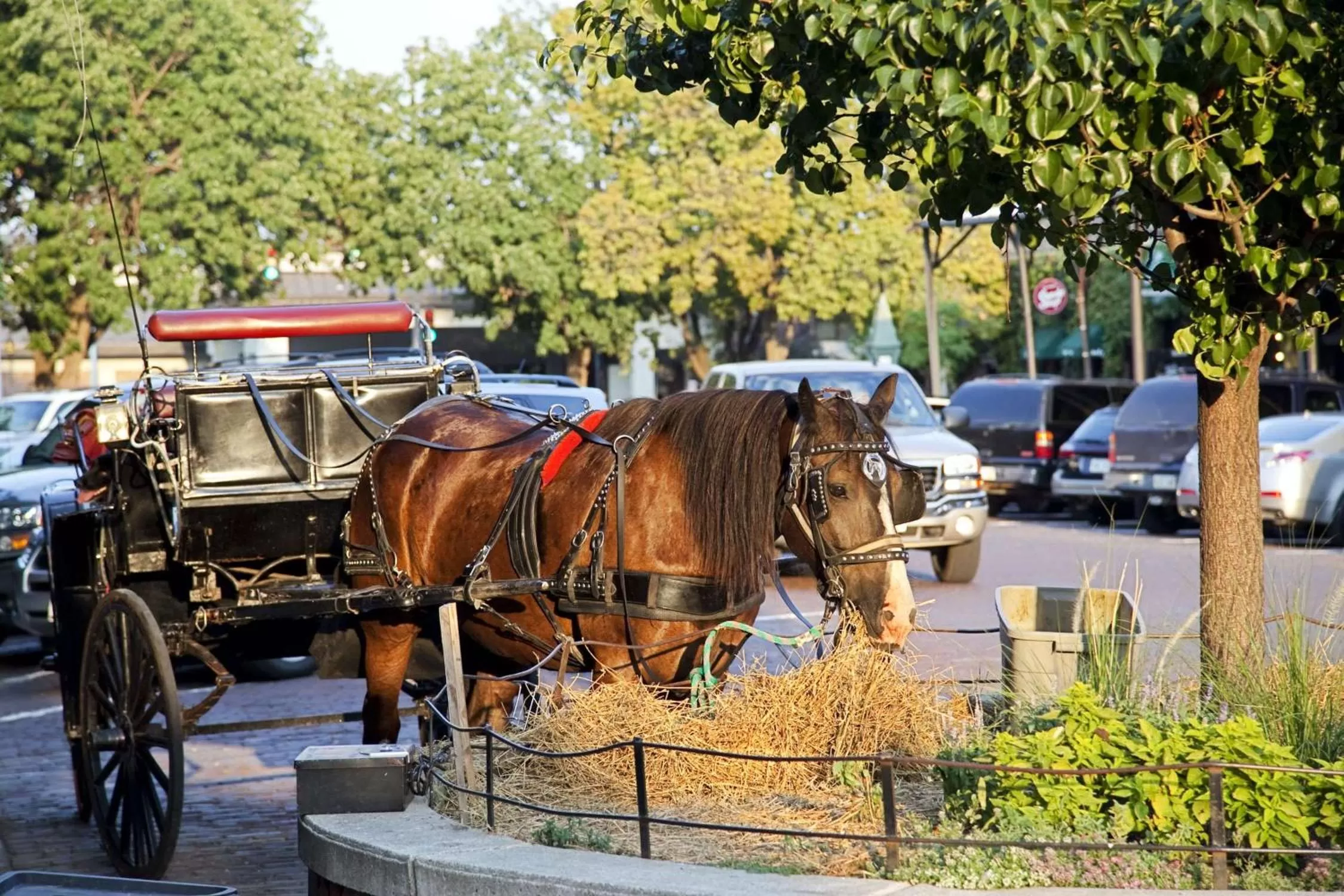 Property building in Embassy Suites by Hilton Omaha Downtown Old Market