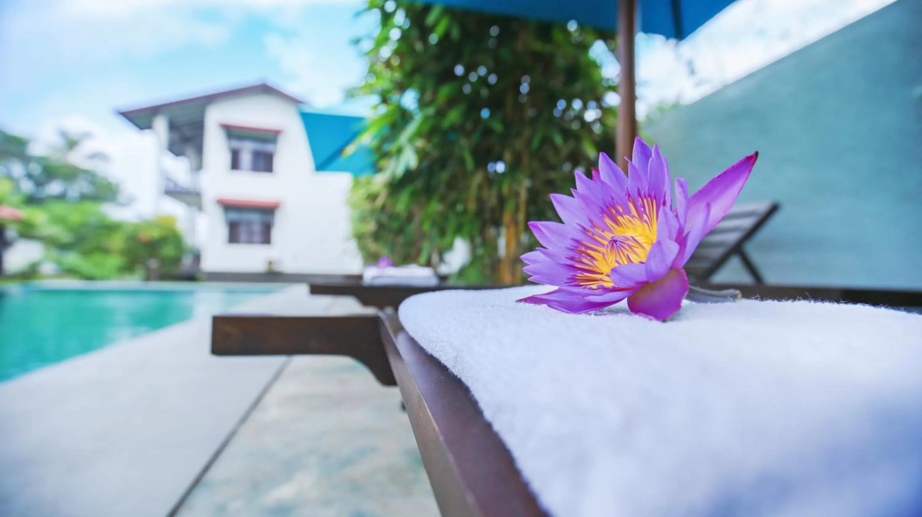 Garden in Kaminrich Cottage