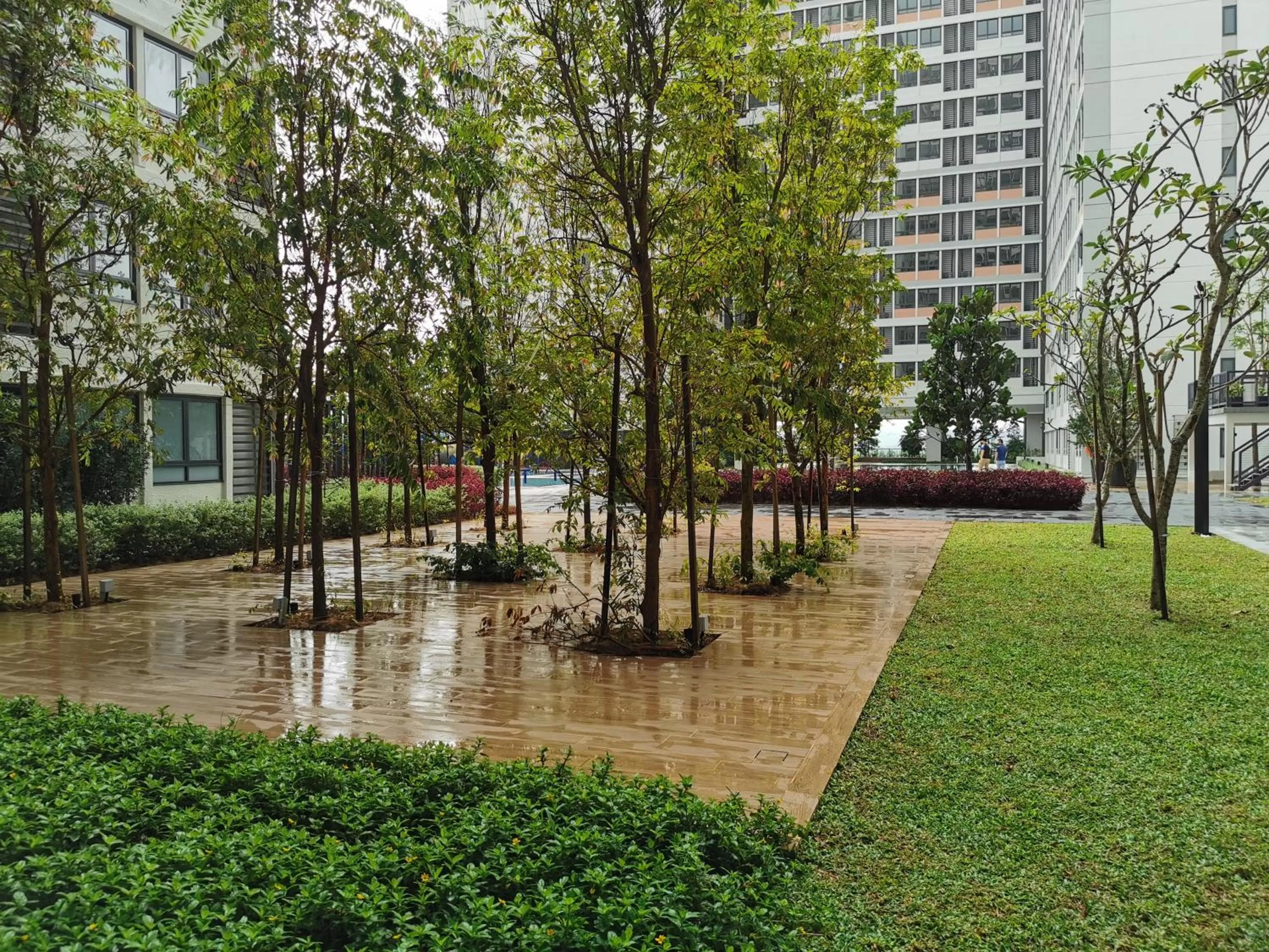 Natural landscape, Garden in Horizon Suites by CH Homes , Sepang near by KLIA - KLIA 2