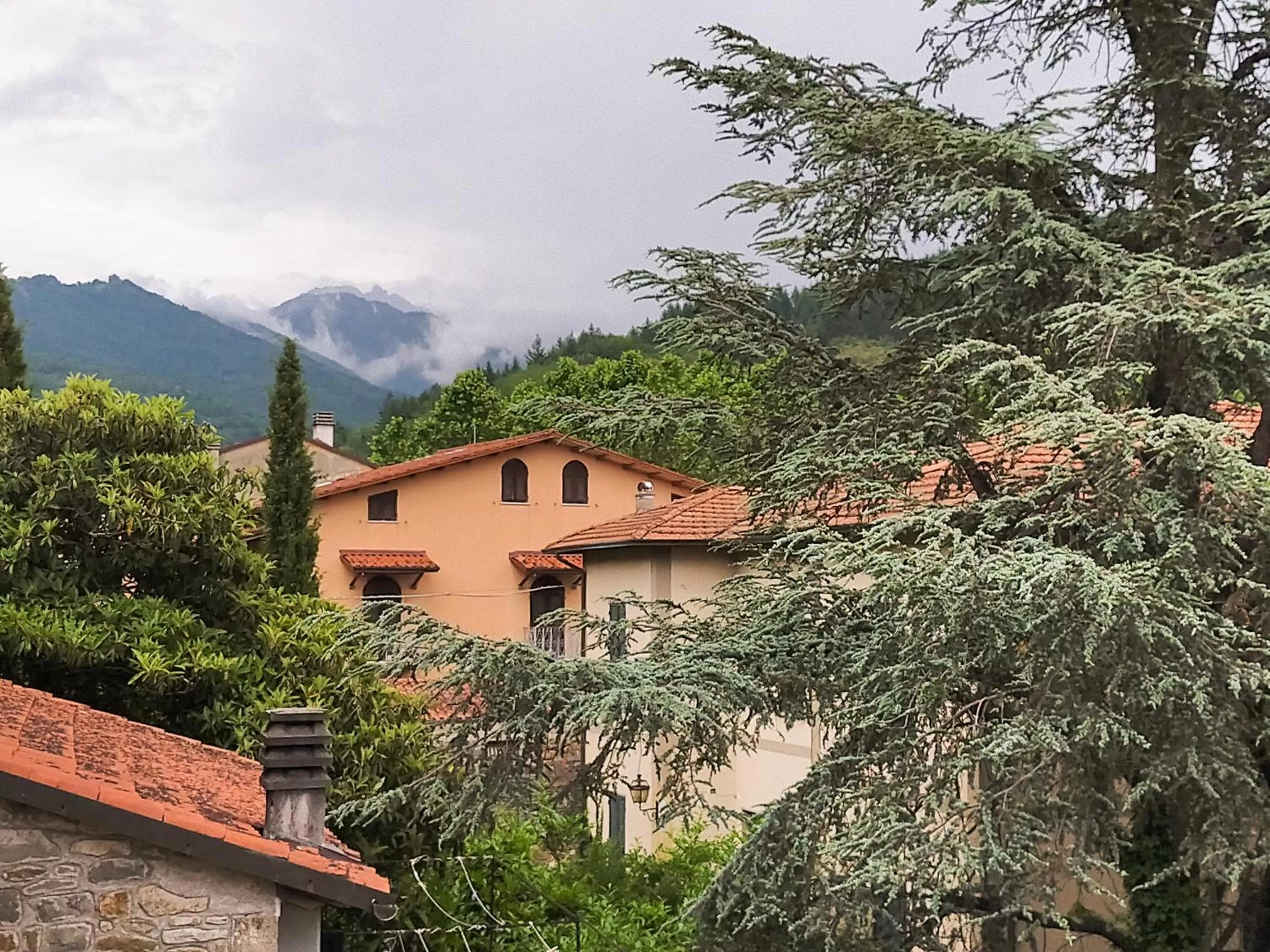 Mountain view in La Luna dei Medici
