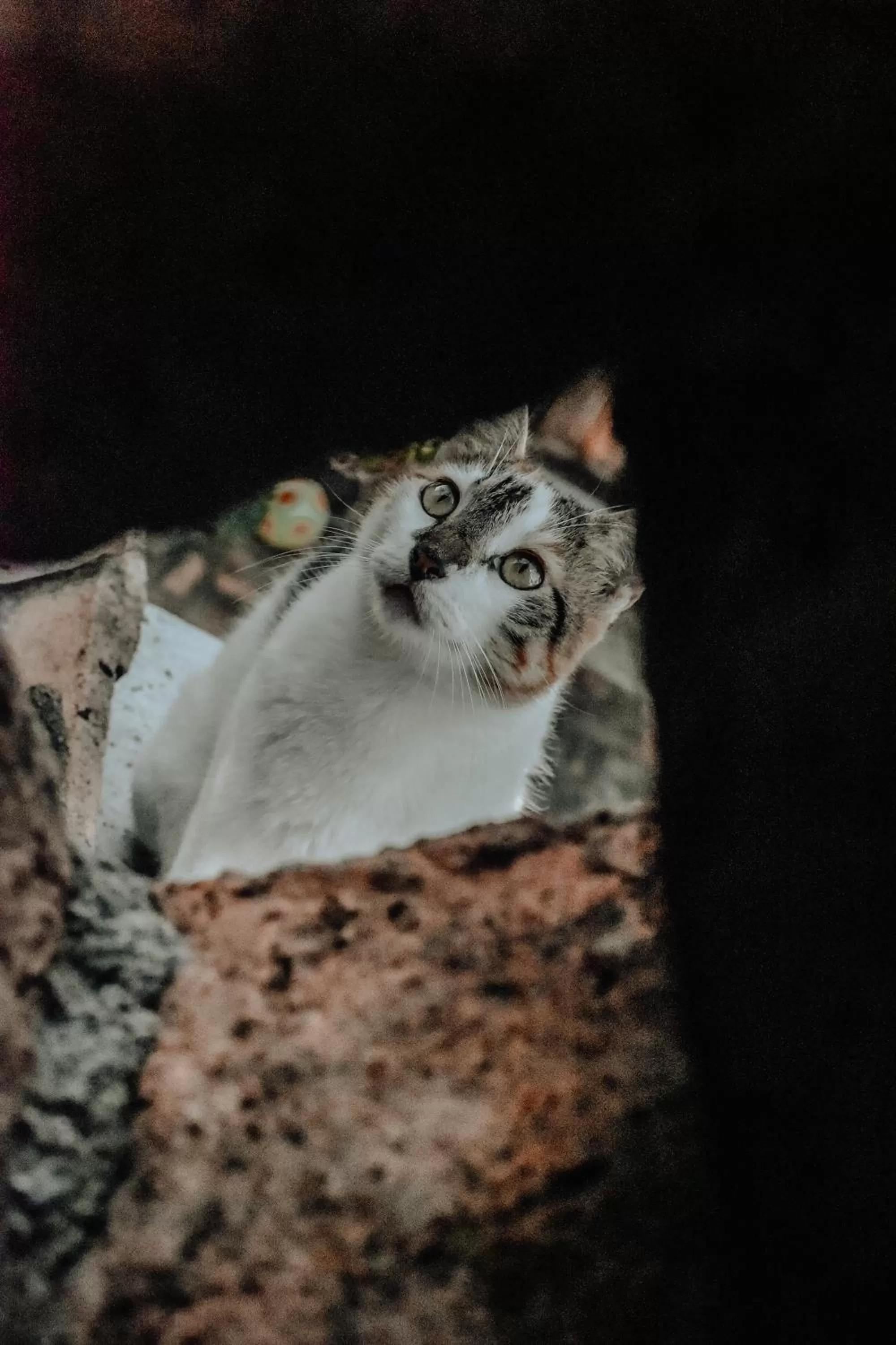 Hosteria Chata Adults Only